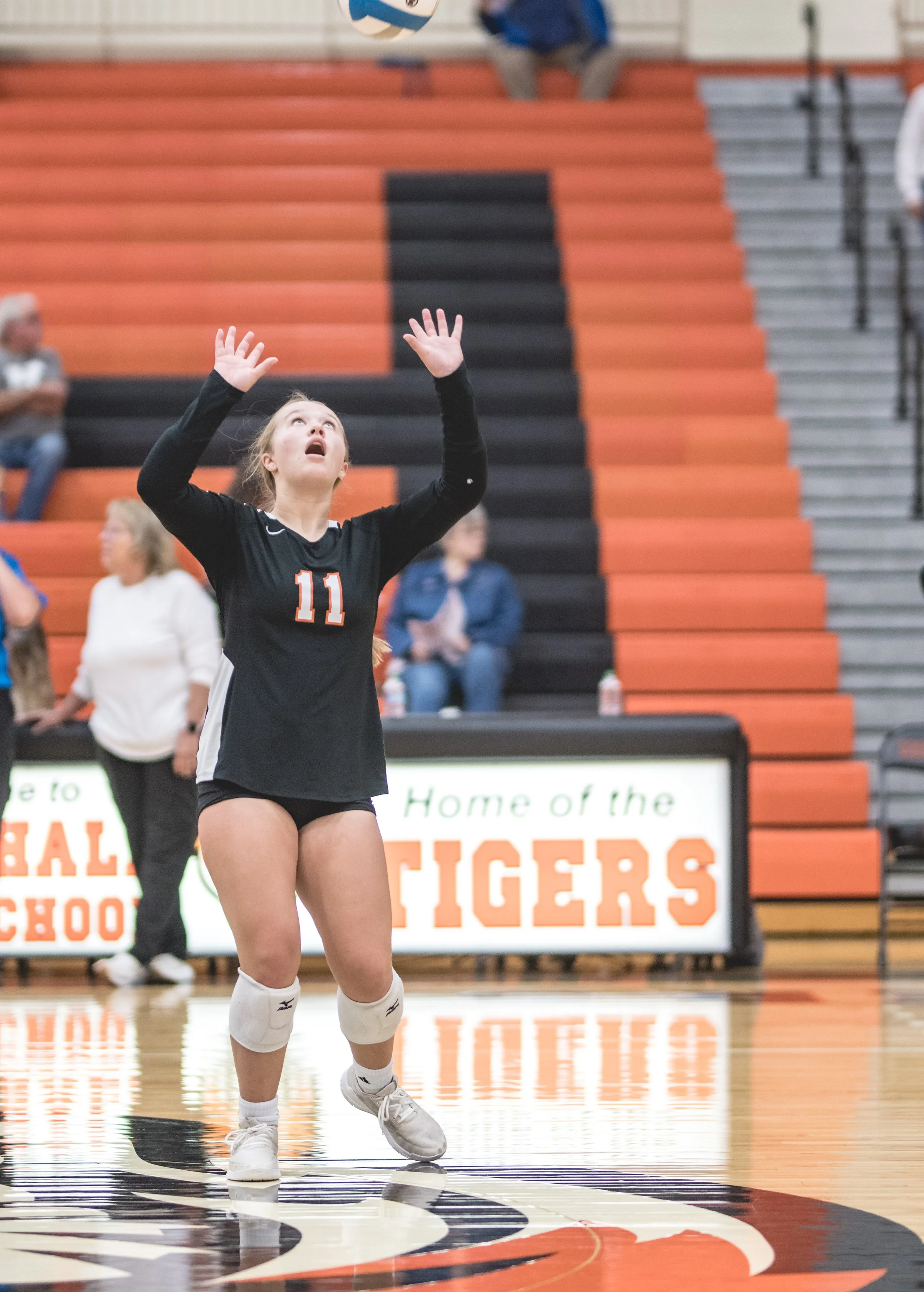 Tigers vs Alex (279).JPG