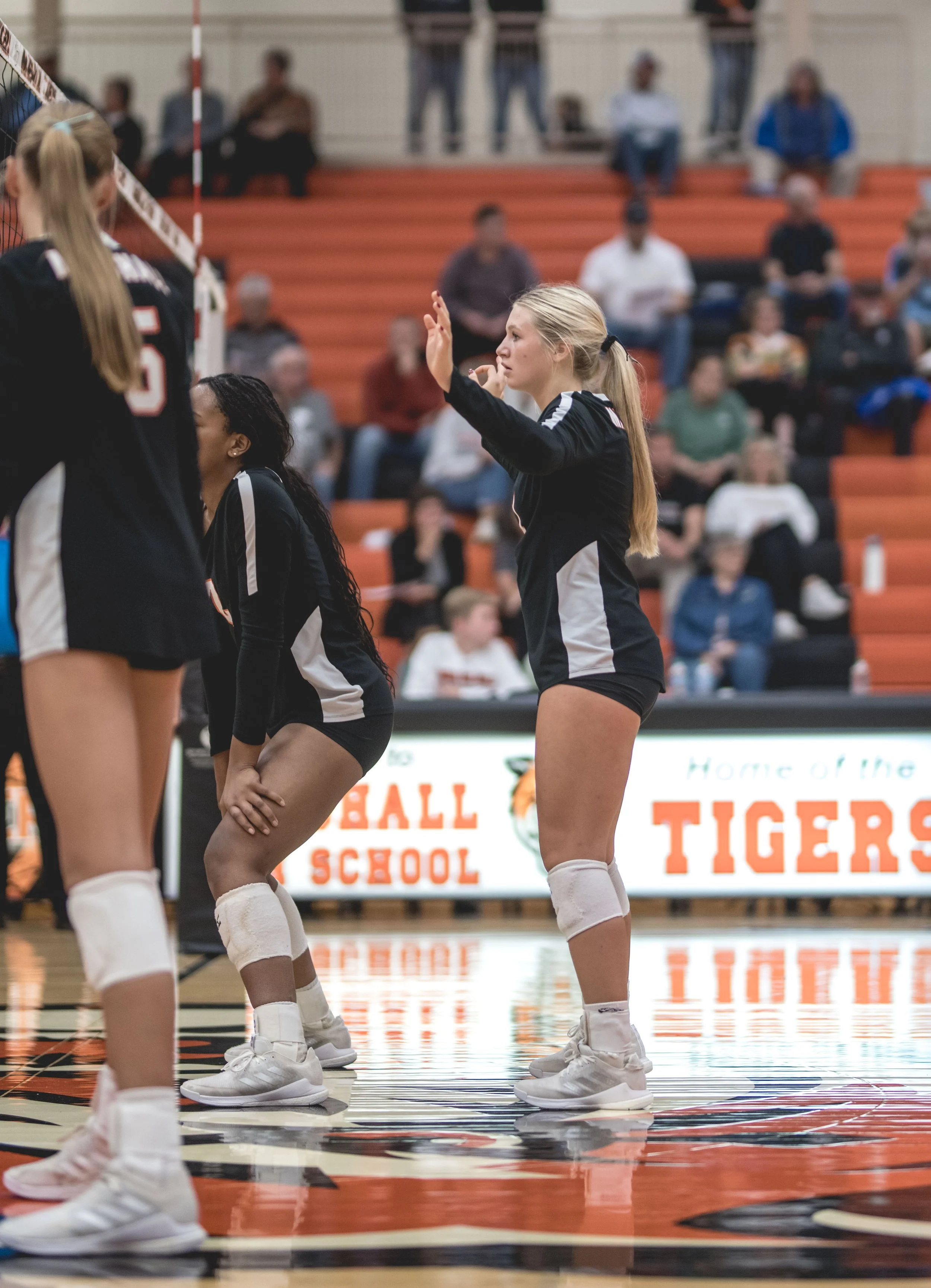 Tigers vs Alex (371).JPG