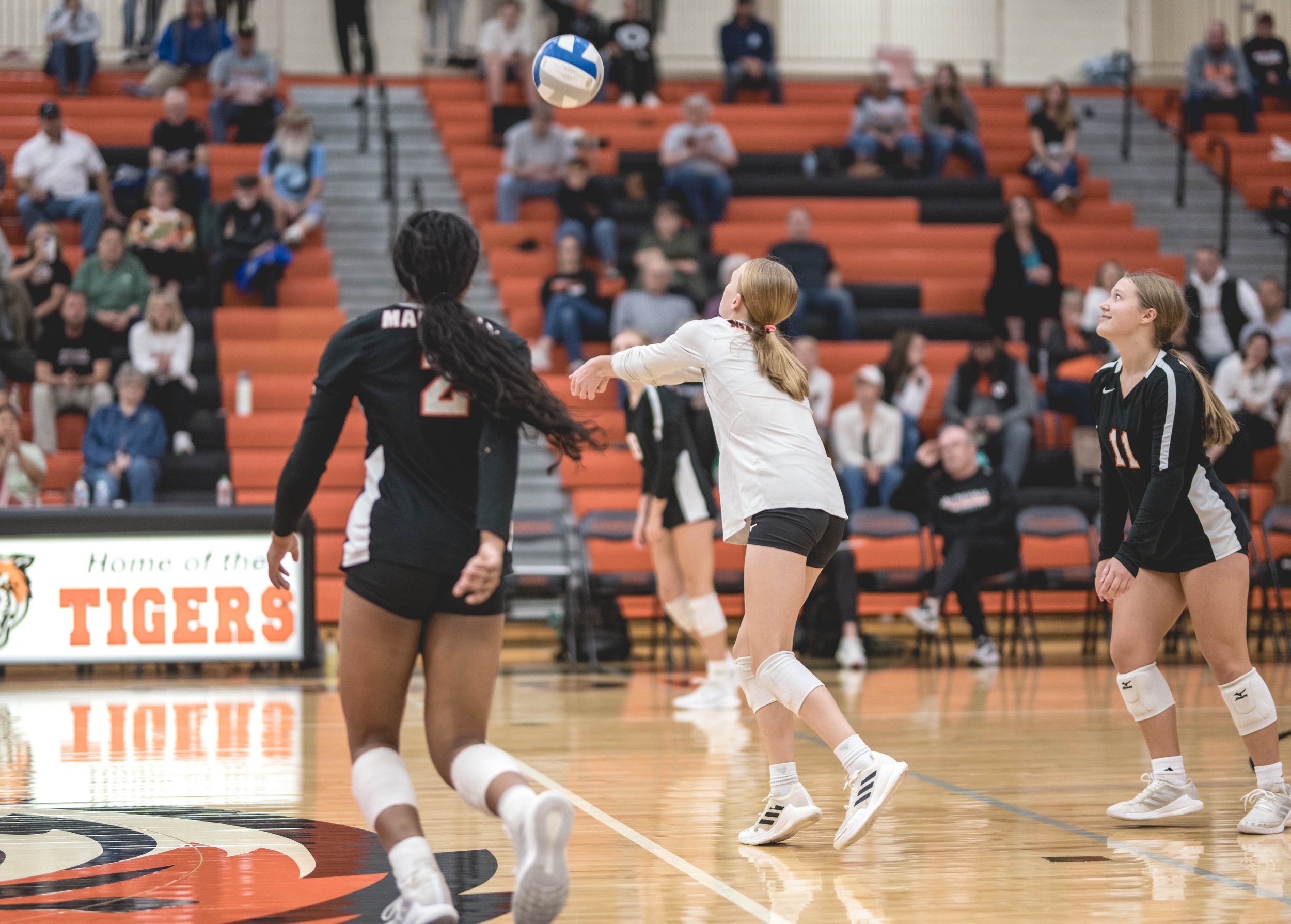 Tigers vs Alex (417).JPG