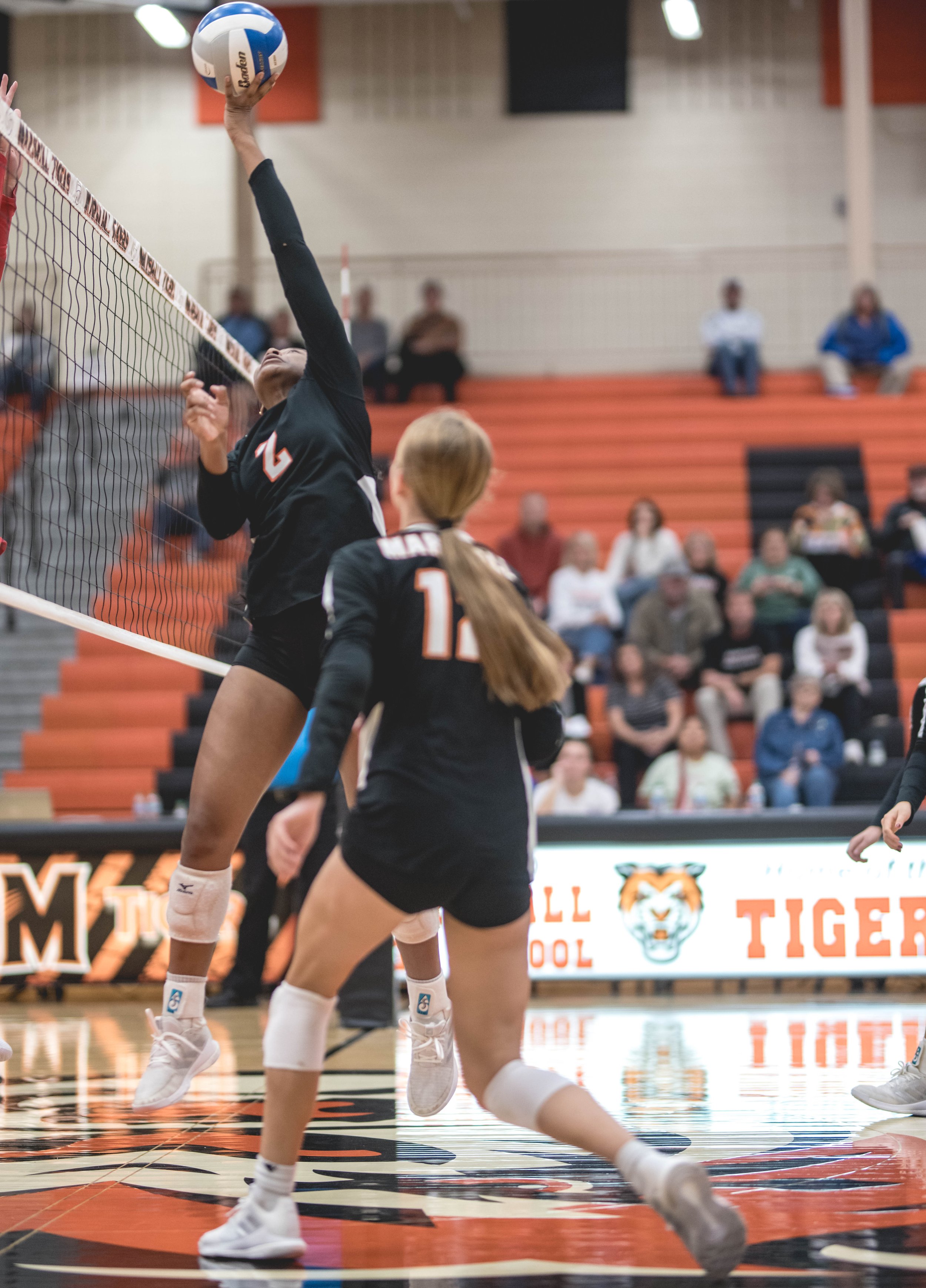 Tigers vs Alex (312).JPG