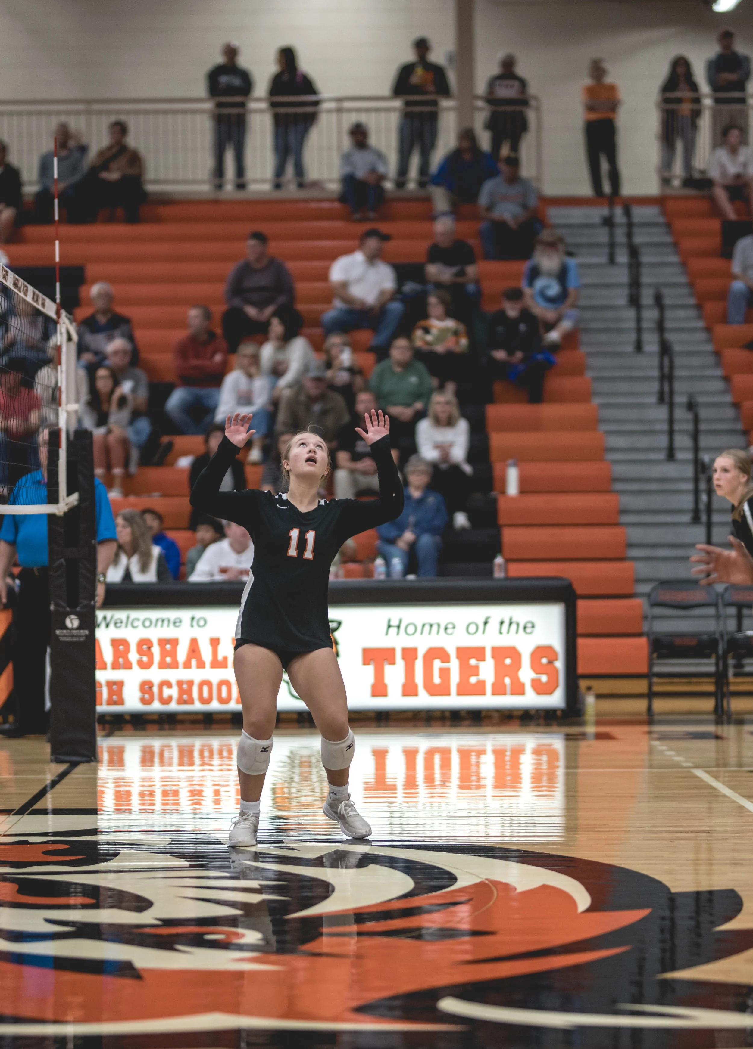 Tigers vs Alex (411).JPG