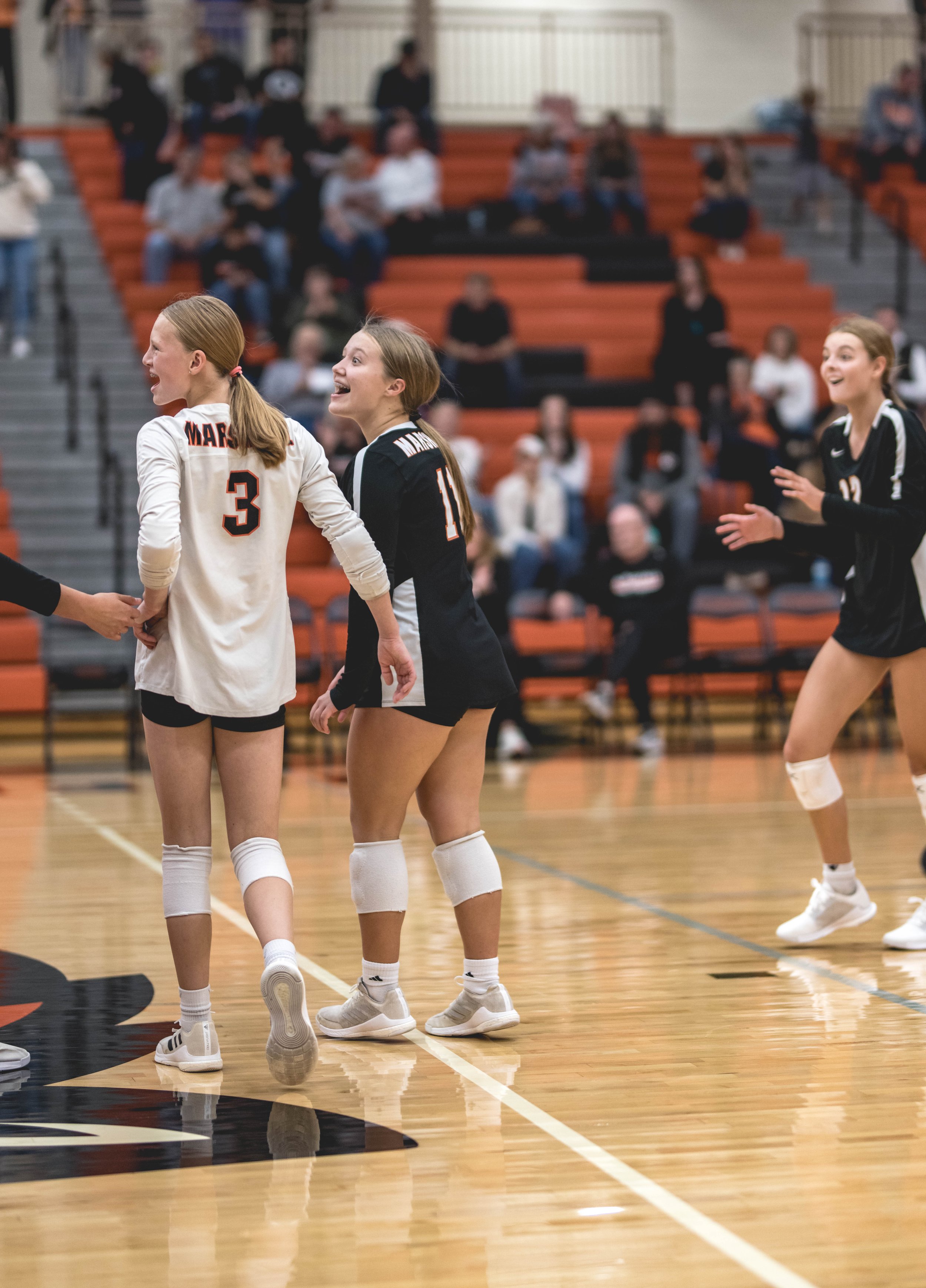 Tigers vs Alex (398).JPG