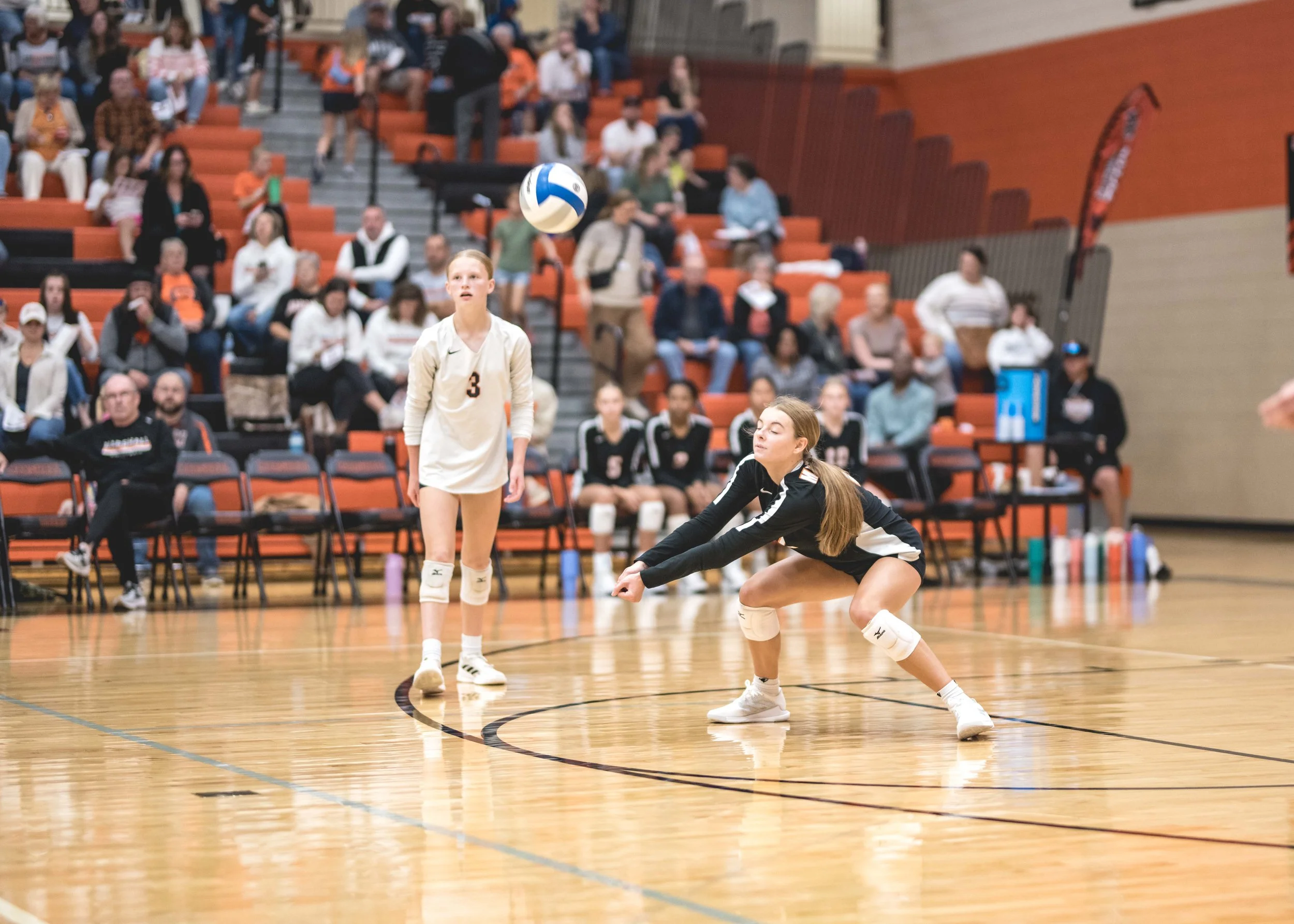 Tigers vs Alex (453).JPG