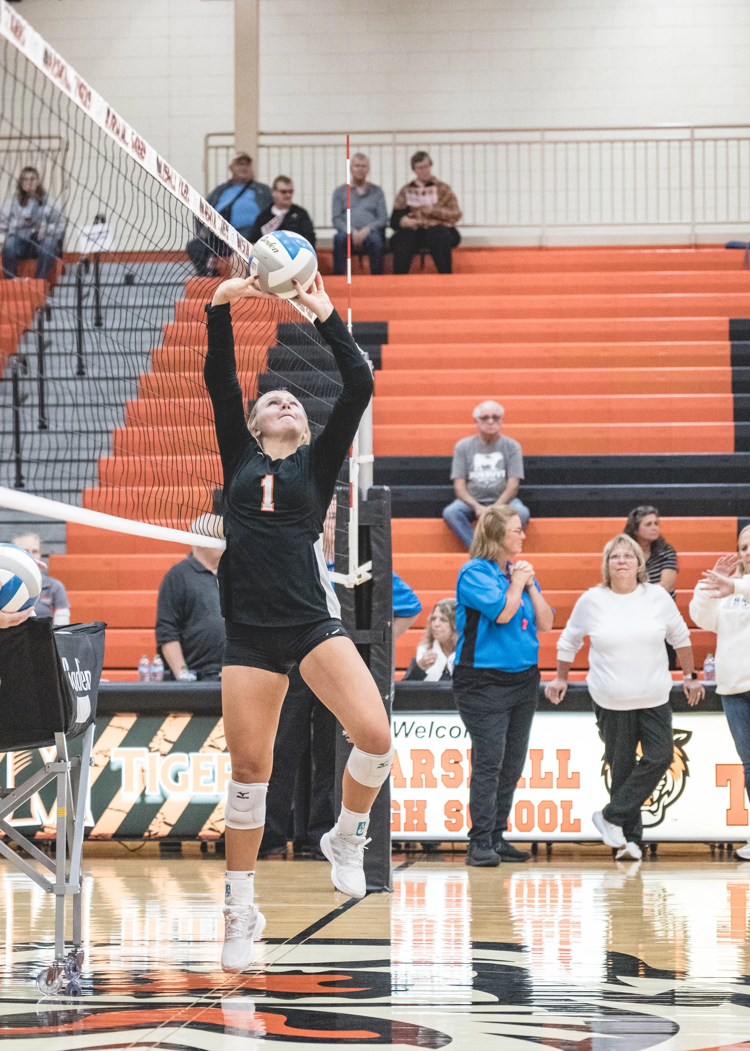 Tigers vs Alex (261).JPG