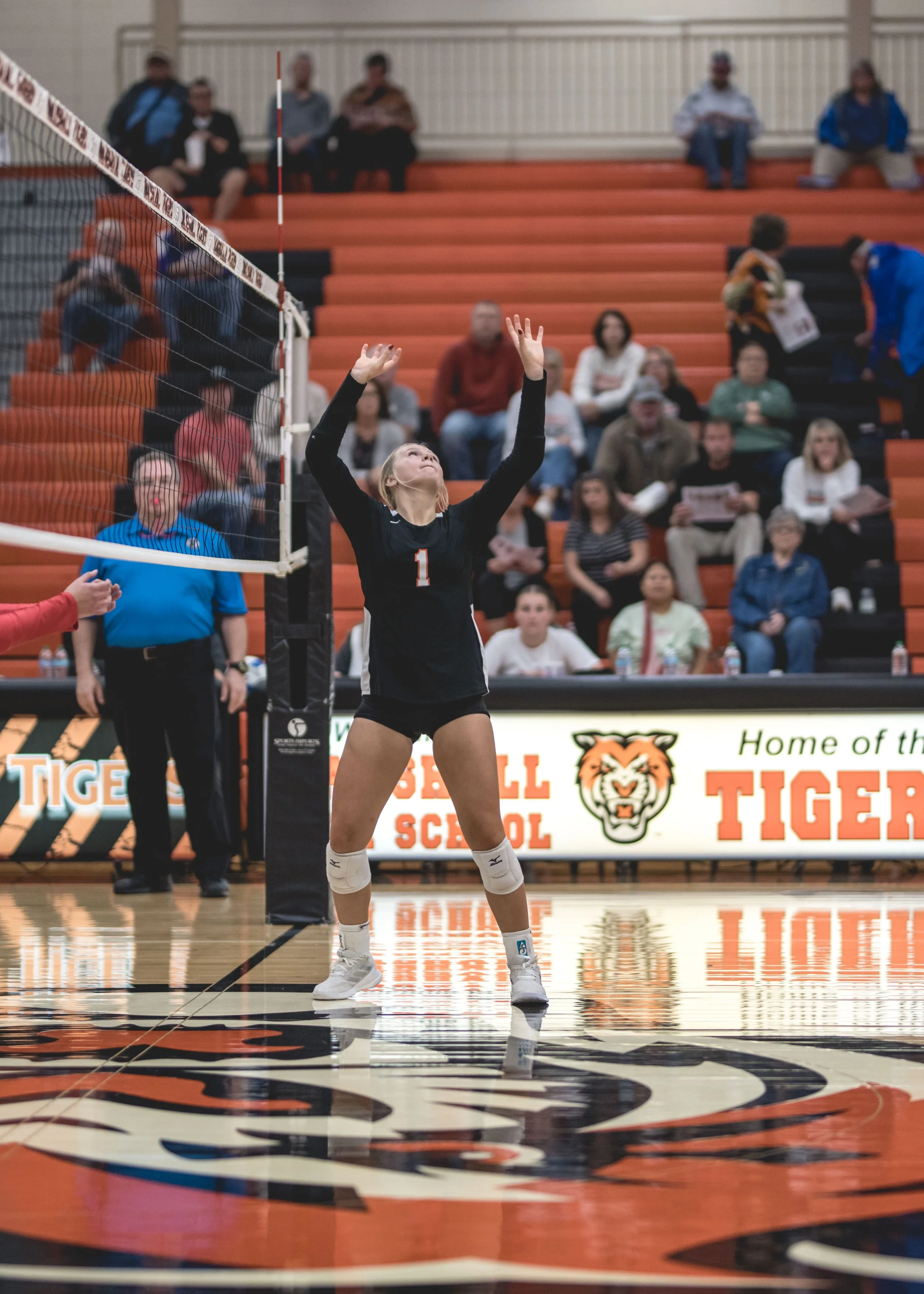 Tigers vs Alex (309).JPG