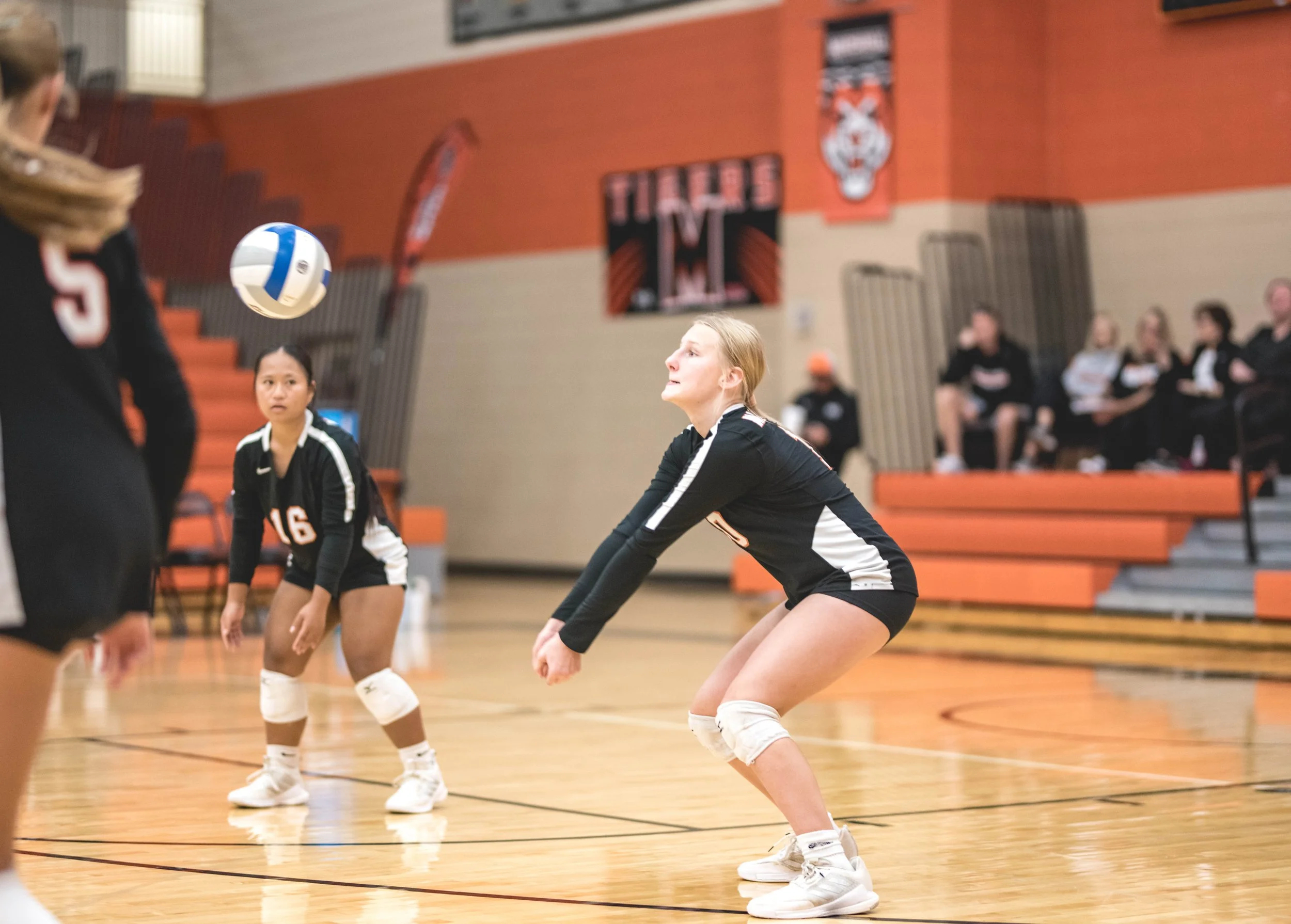 Tigers vs Alex (338).JPG