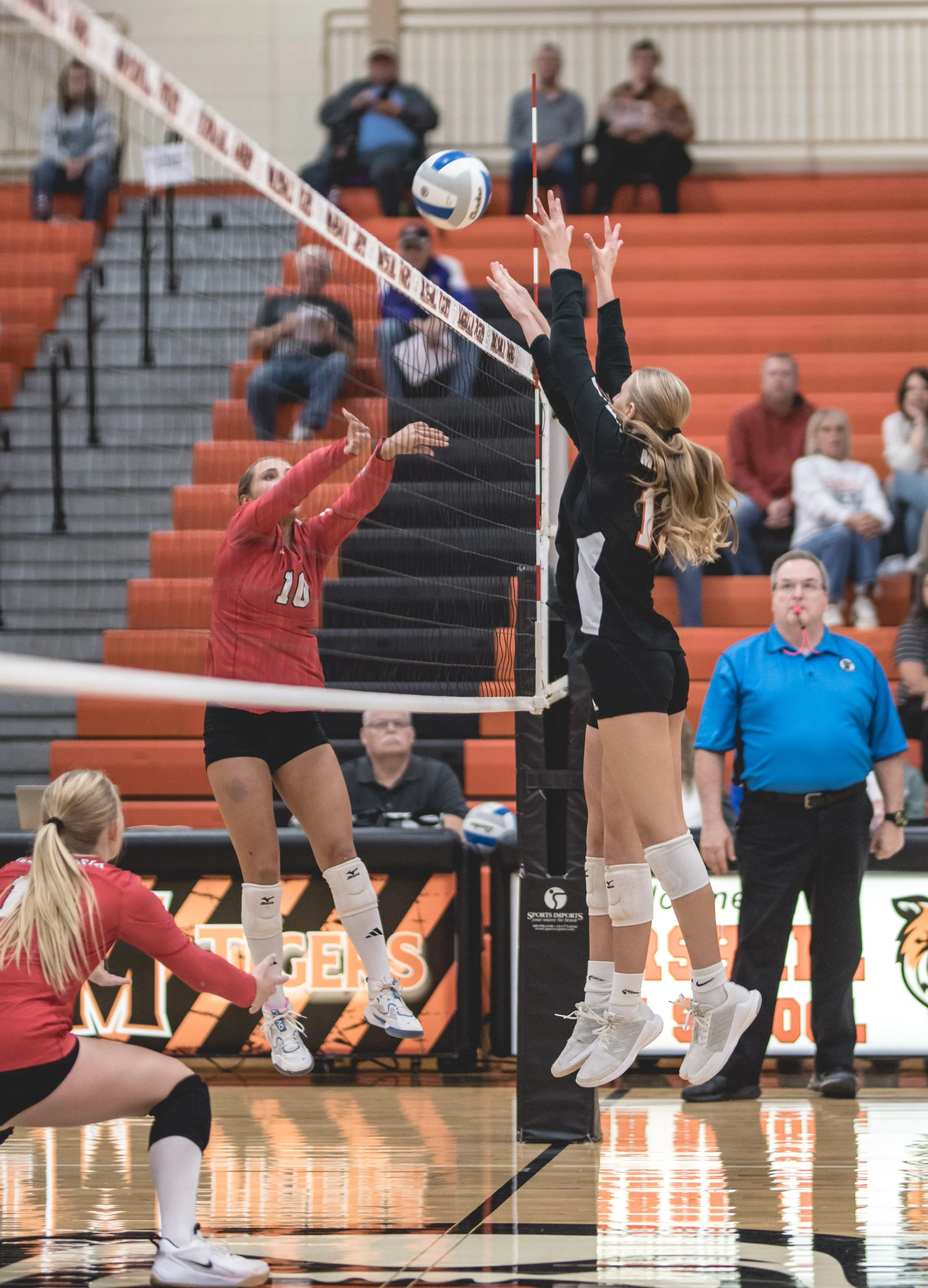 Tigers vs Alex (288).JPG