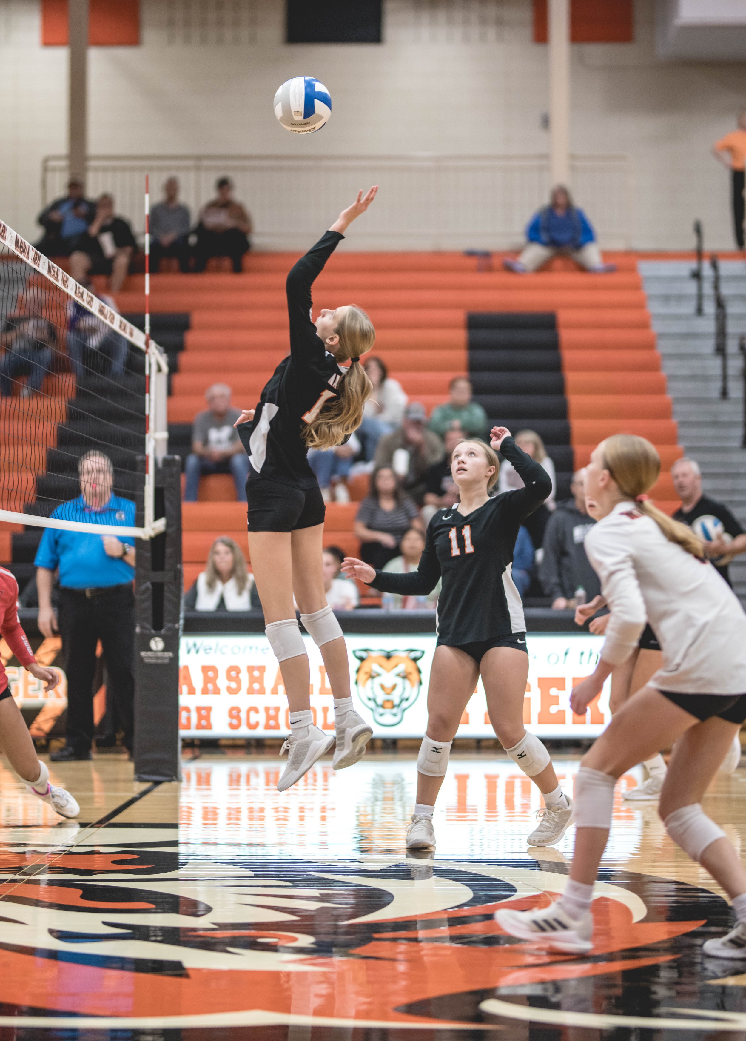 Tigers vs Alex (293).JPG