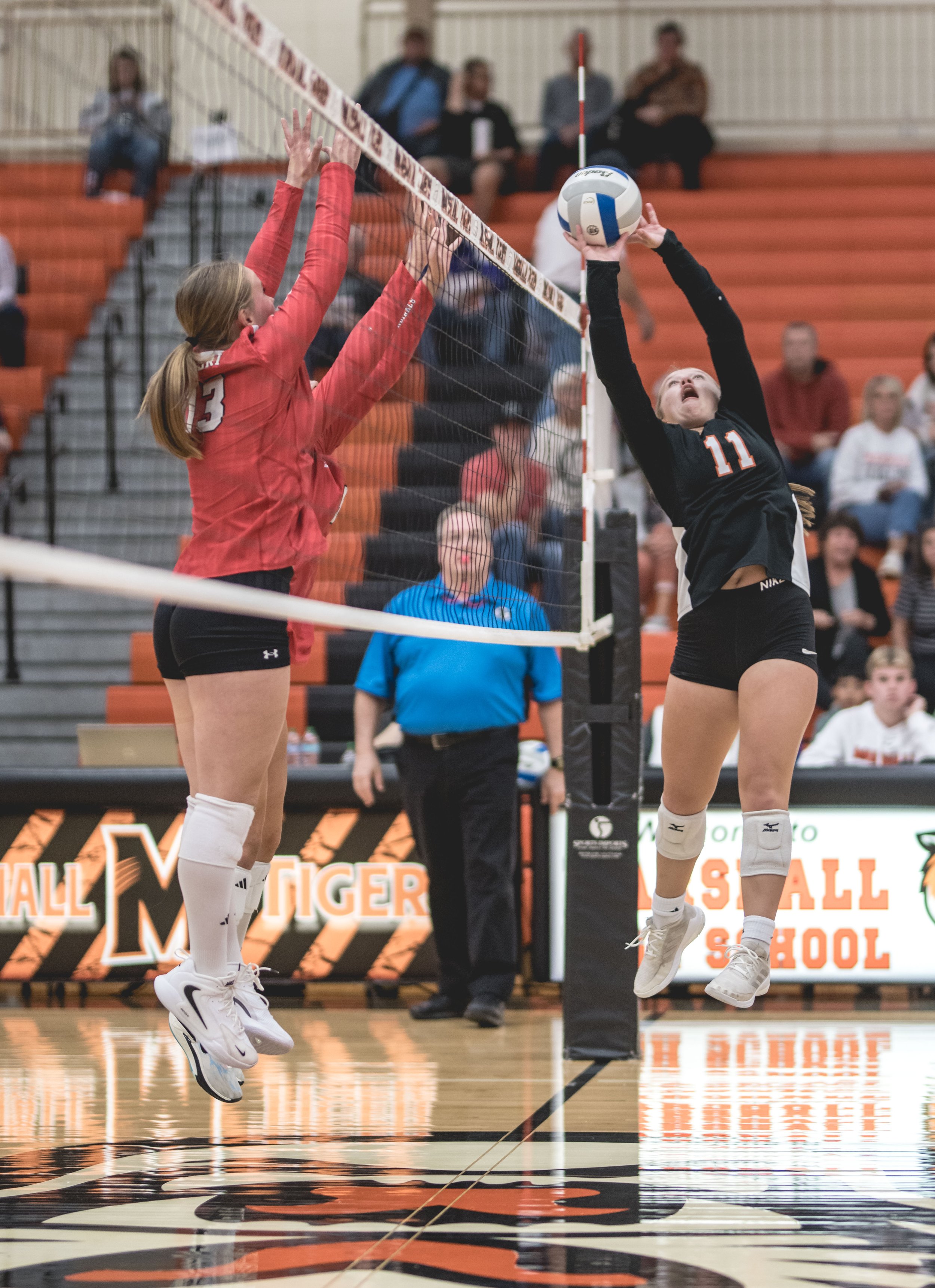 Tigers vs Alex (353).JPG