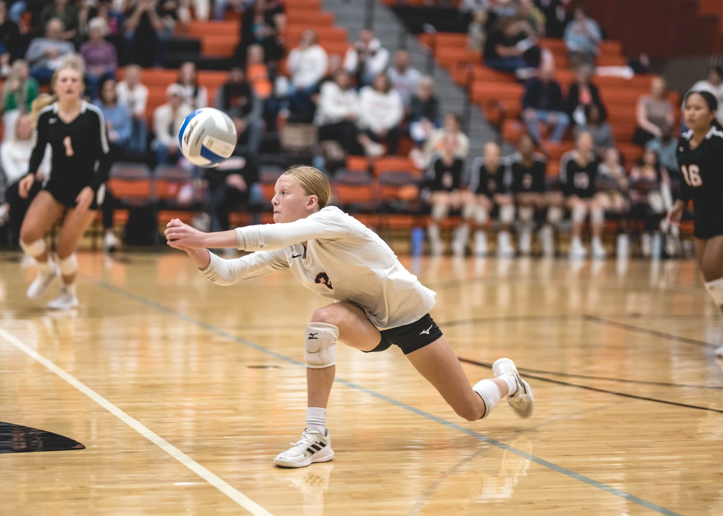 Tigers vs Alex (463).JPG