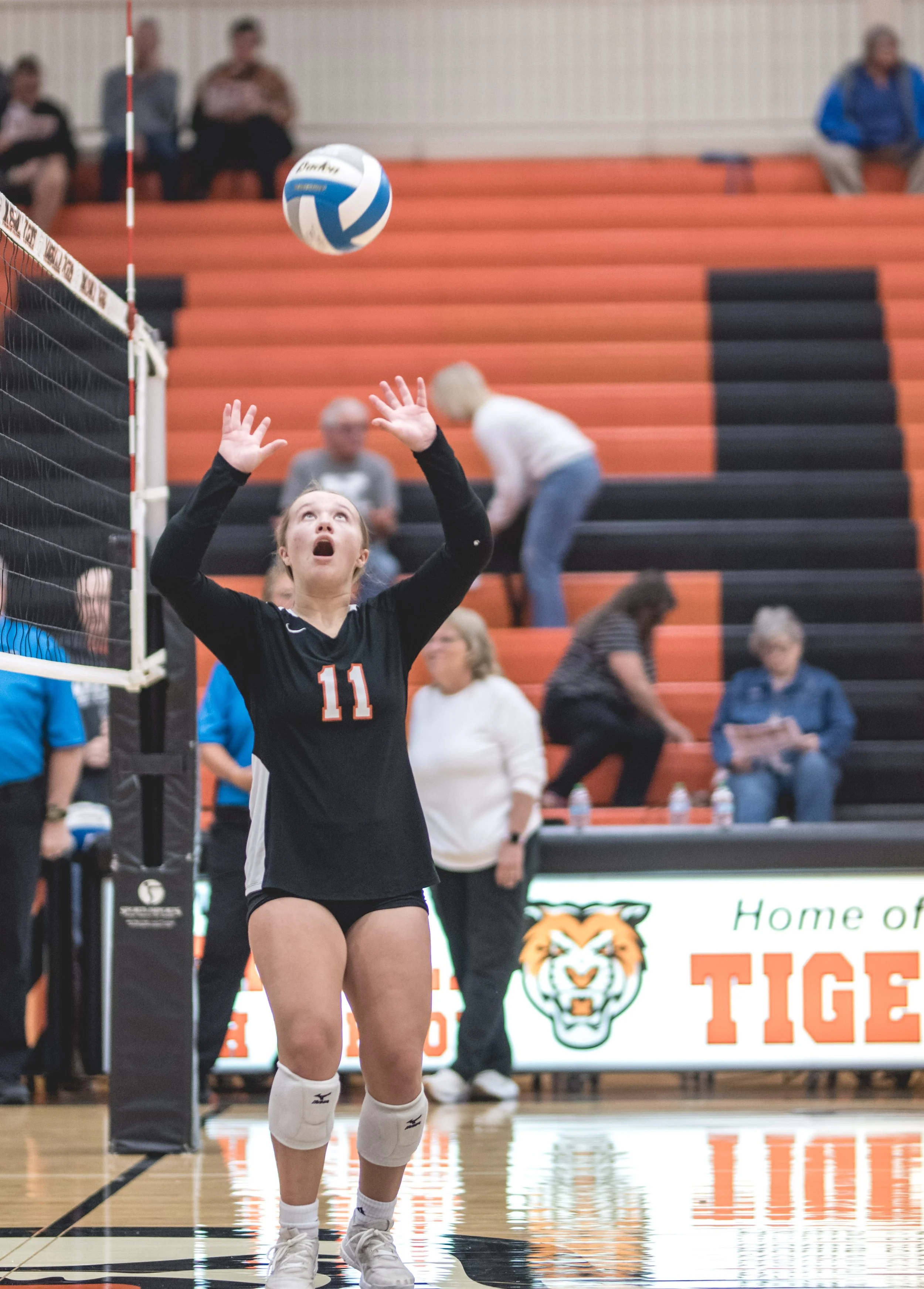 Tigers vs Alex (282).JPG