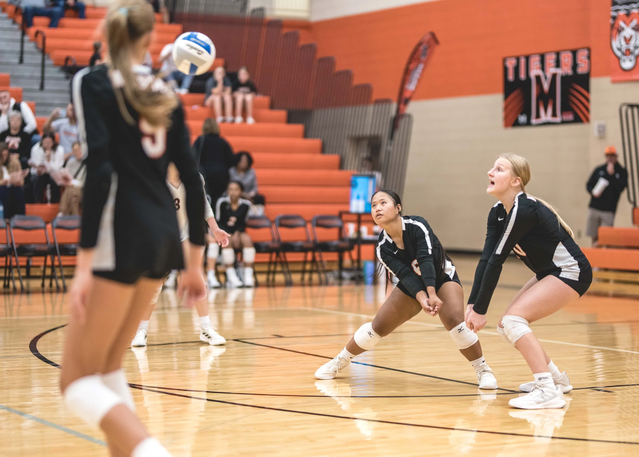 Tigers vs Alex (333).JPG