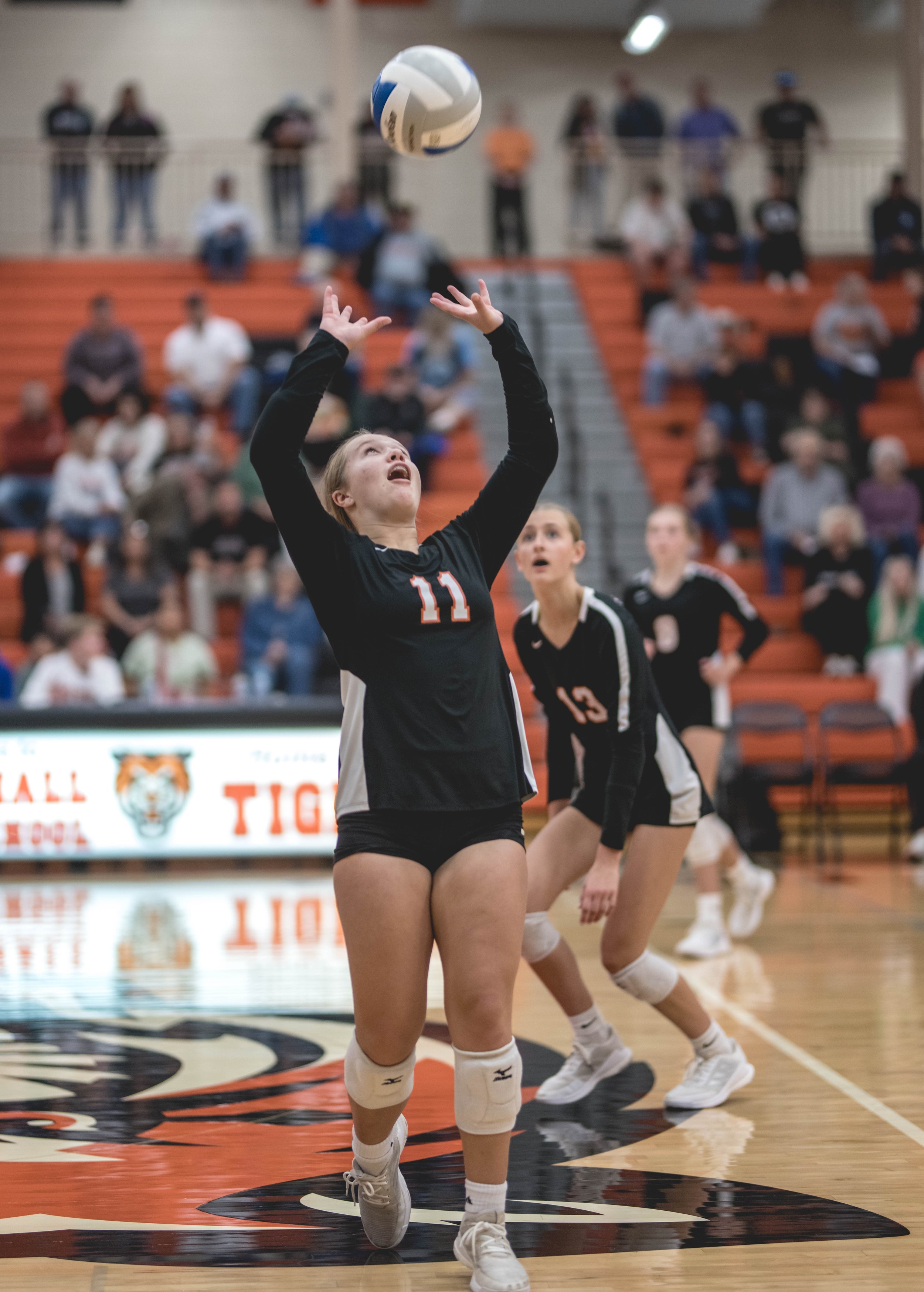 Tigers vs Alex (403).JPG