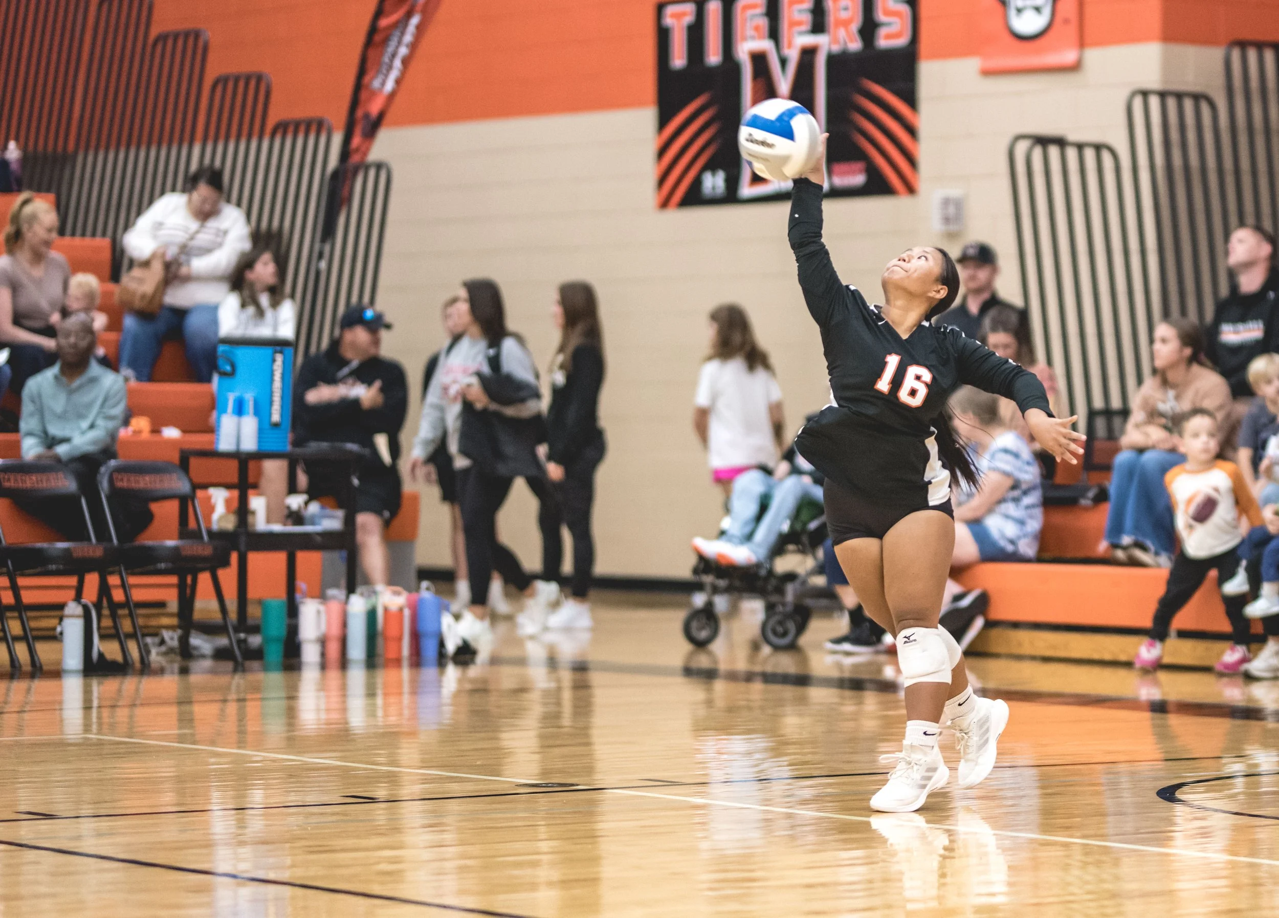 Tigers vs Alex (458).JPG