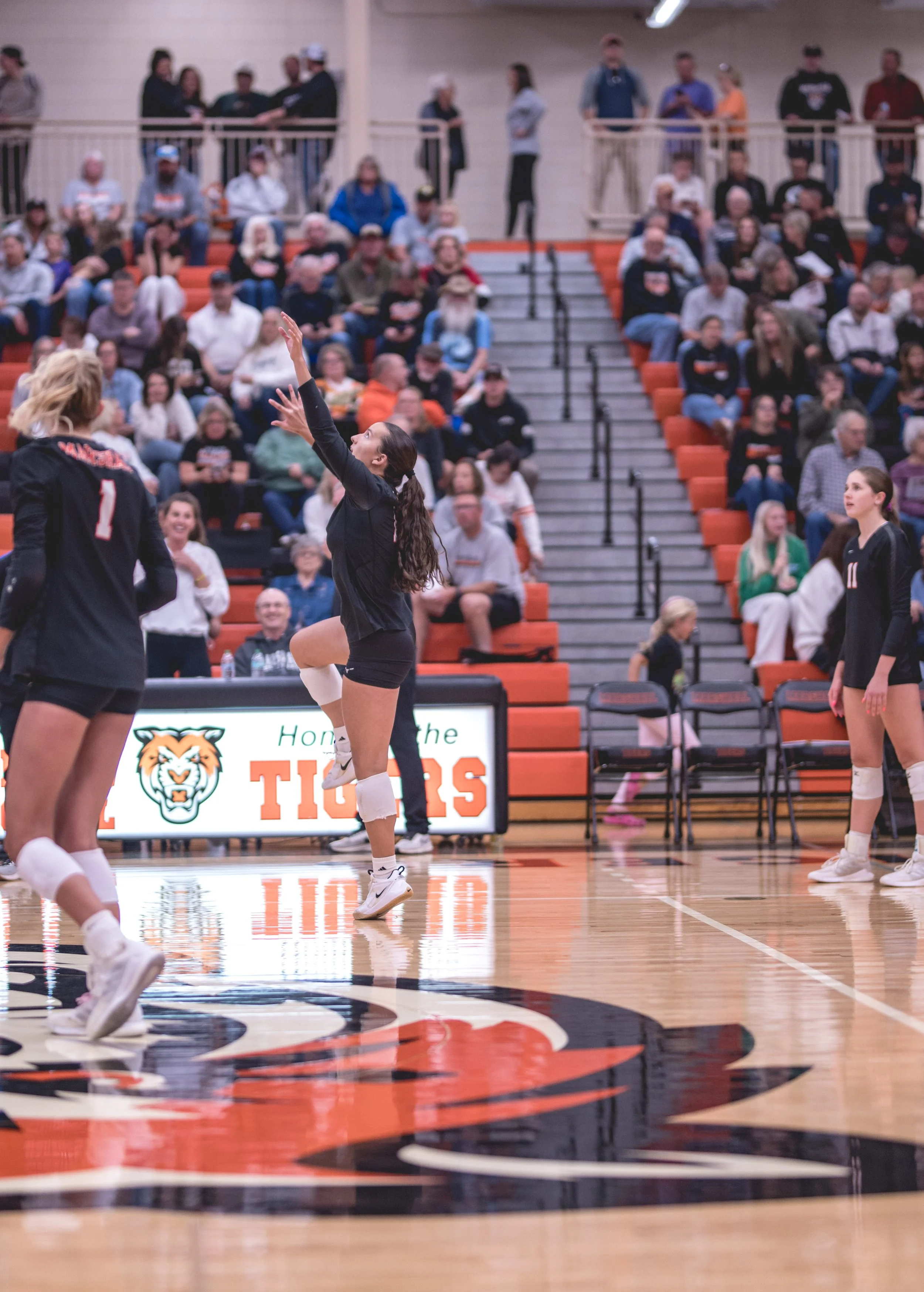 Tigers vs Alex (18).JPG