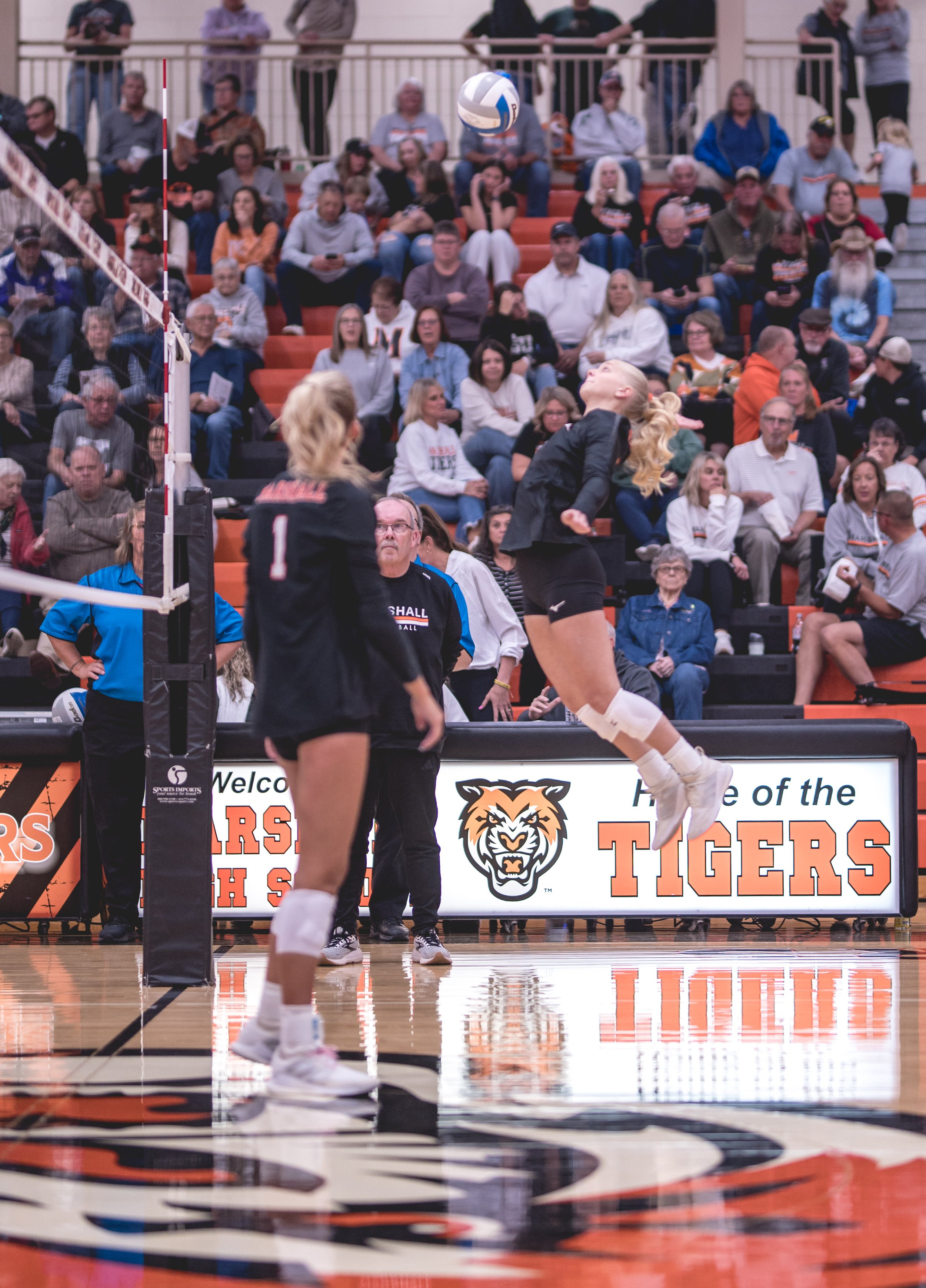 Tigers vs Alex (23).JPG
