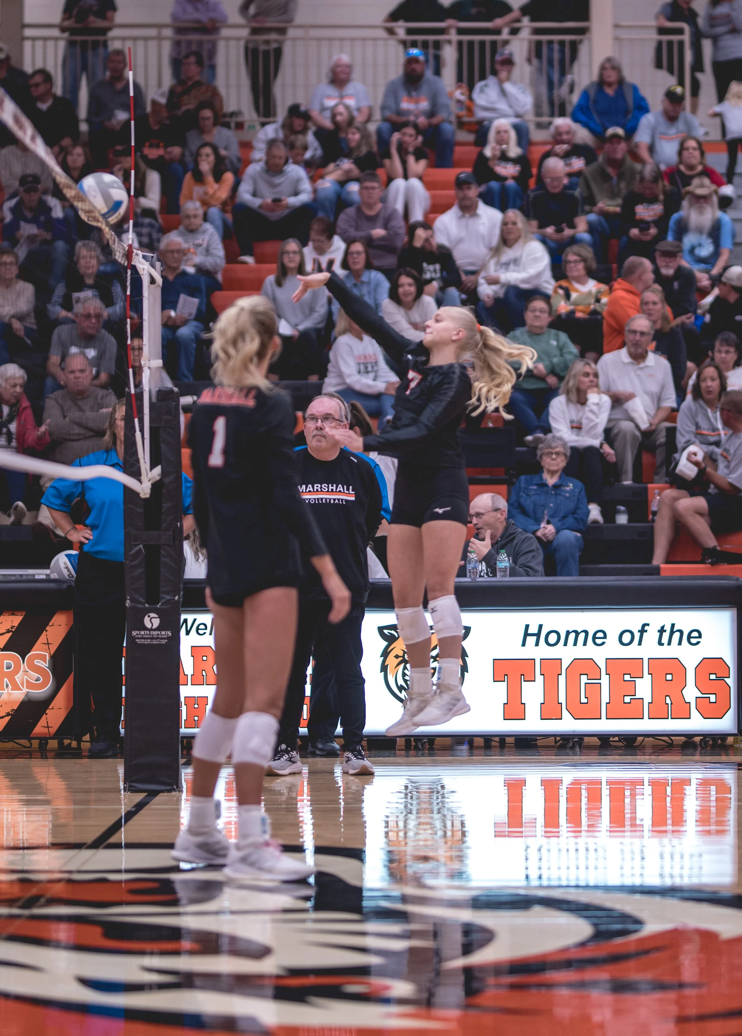 Tigers vs Alex (24).JPG