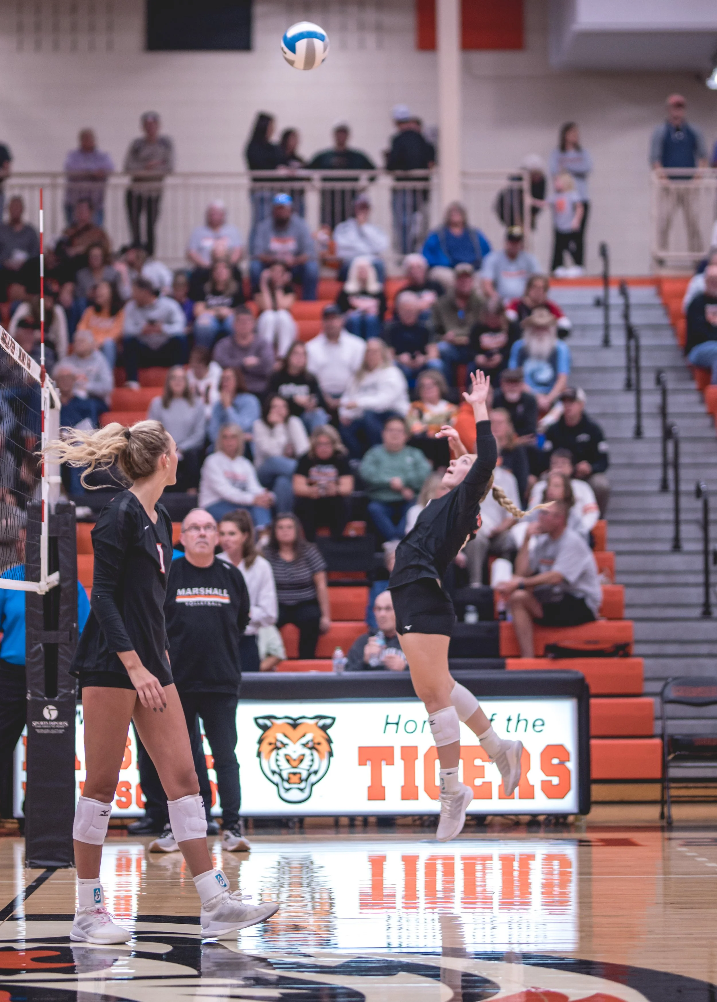 Tigers vs Alex (31).JPG