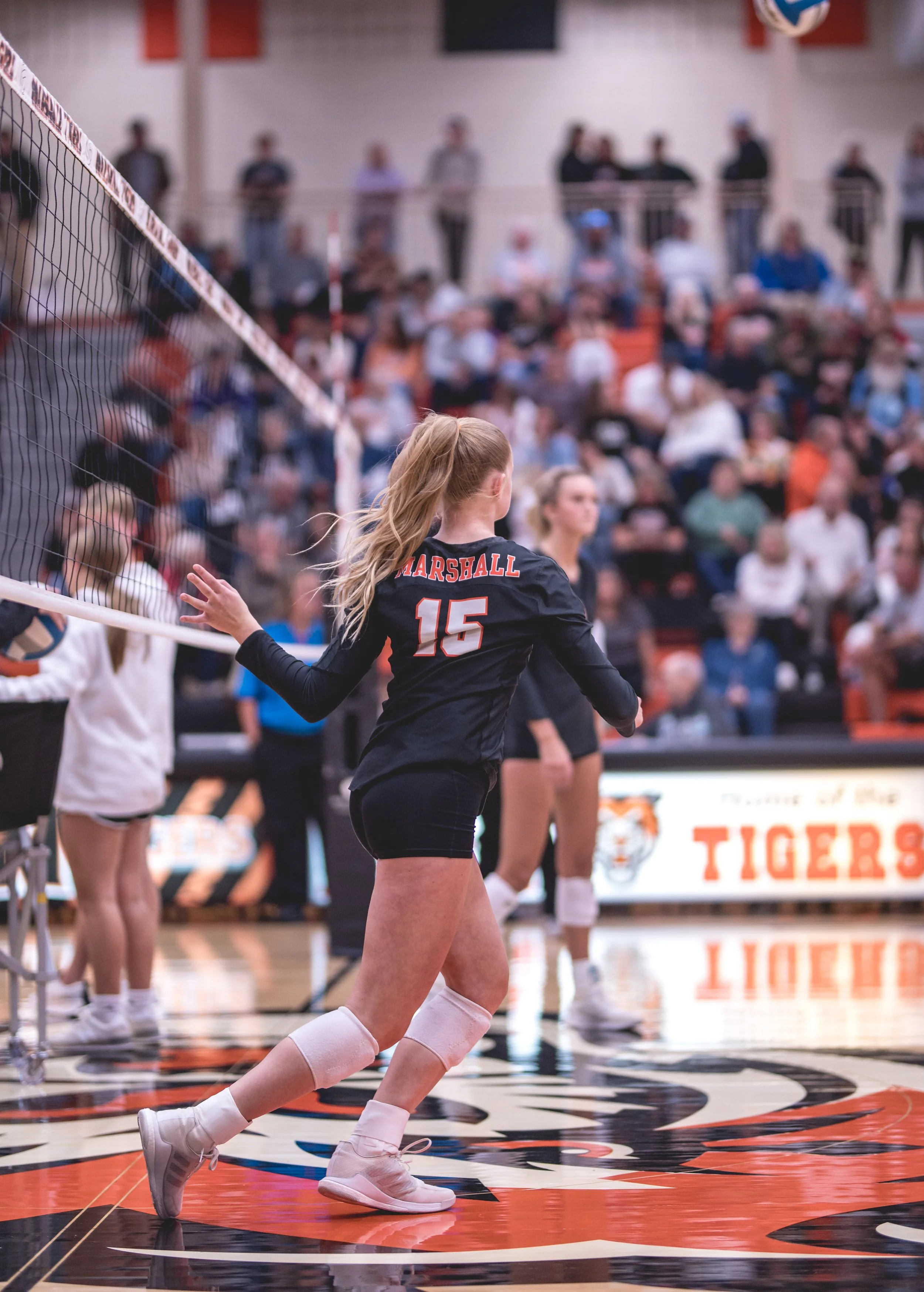 Tigers vs Alex (43).JPG