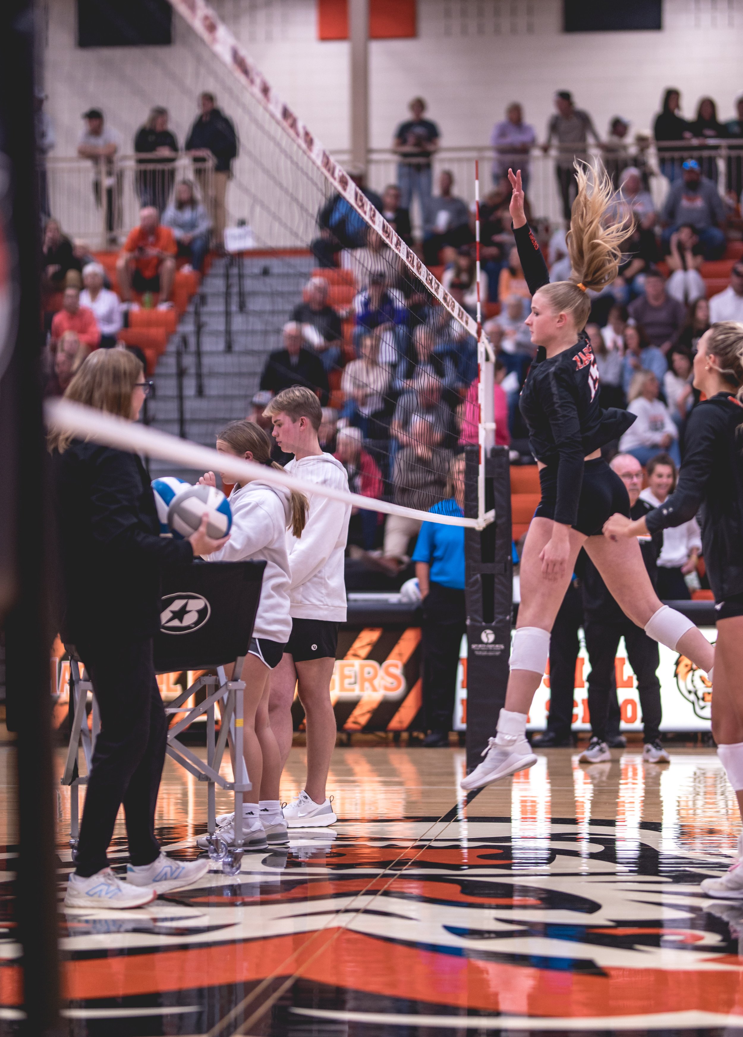 Tigers vs Alex (47).JPG