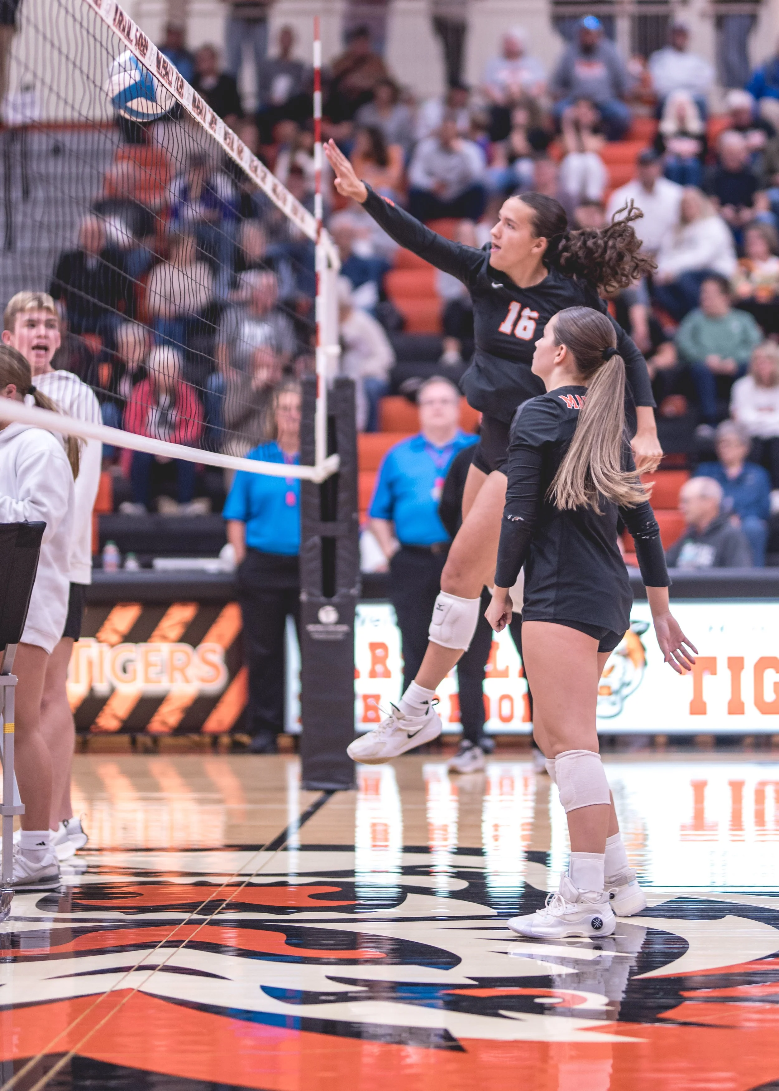 Tigers vs Alex (54).JPG