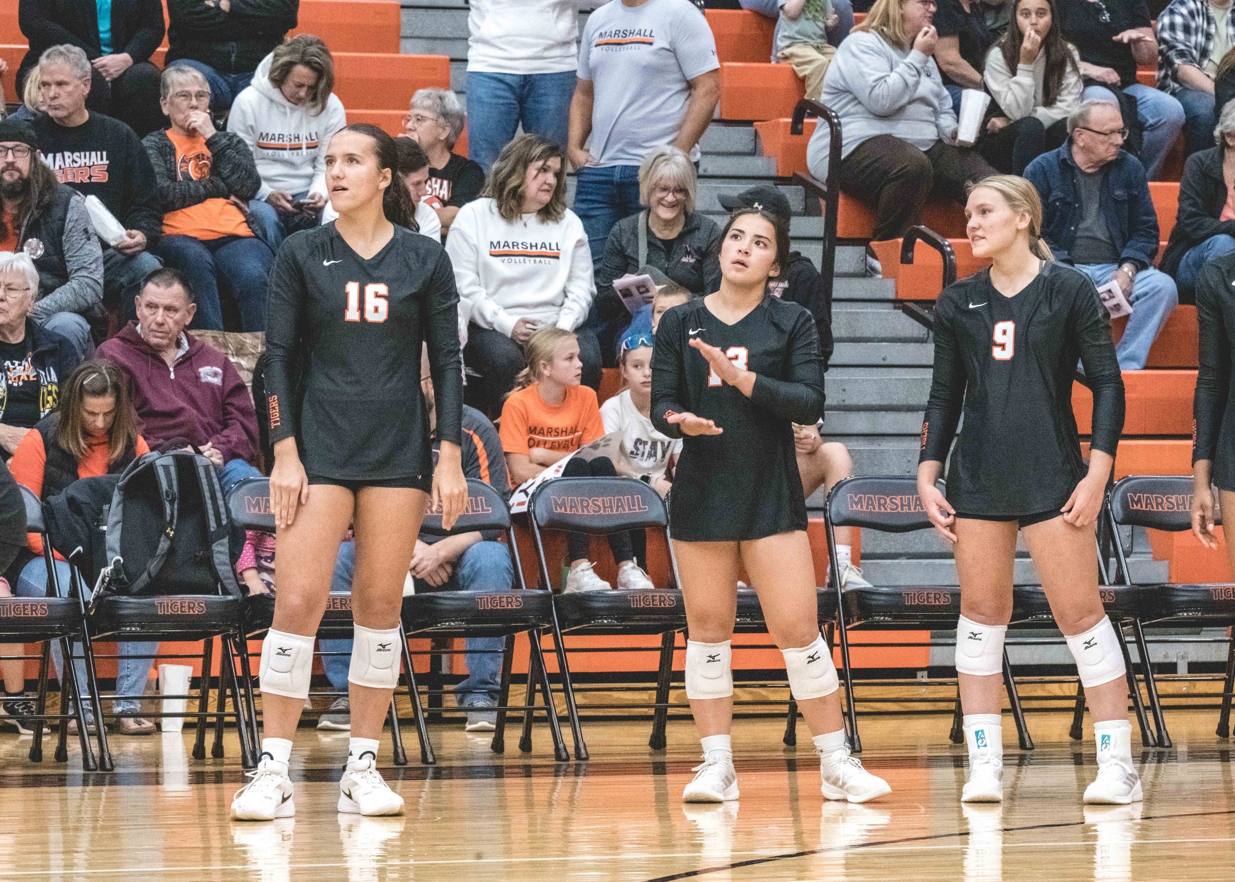 Tigers vs Alex (573).JPG