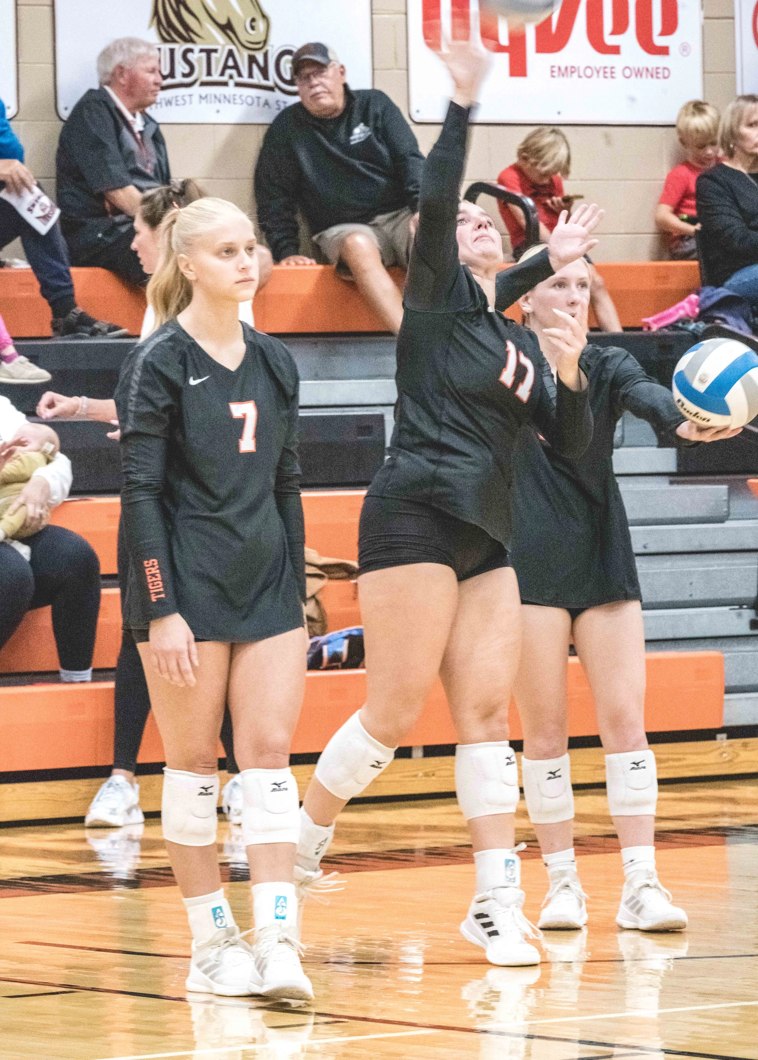 Tigers vs Alex (590).JPG