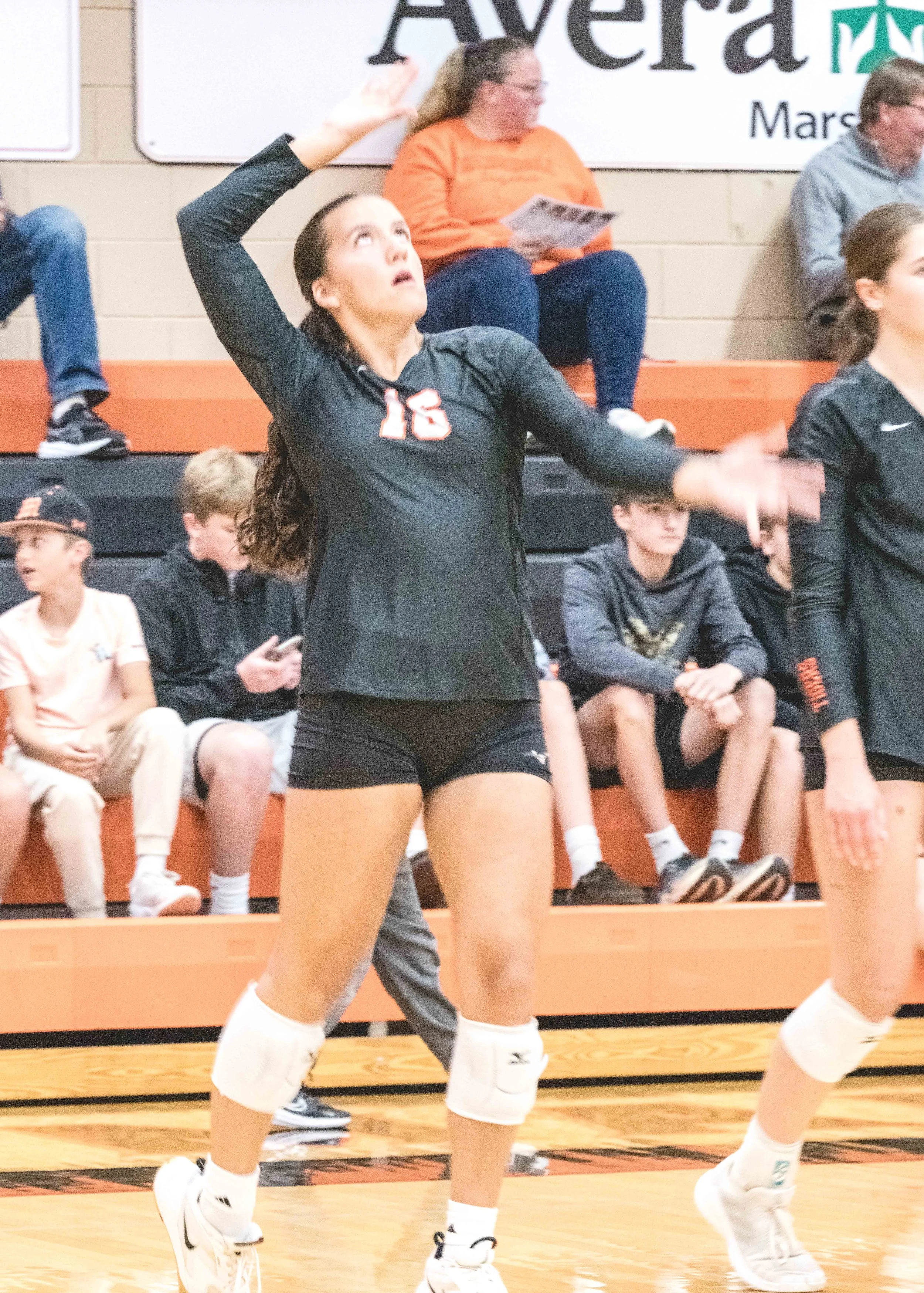 Tigers vs Alex (600).JPG