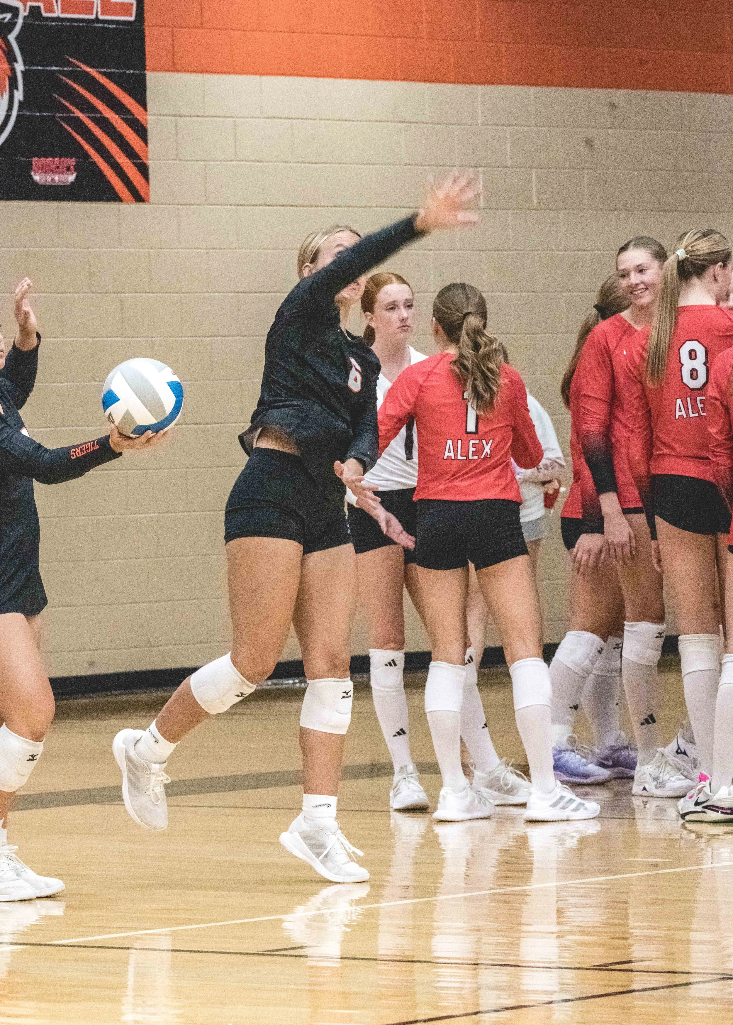 Tigers vs Alex (604).JPG