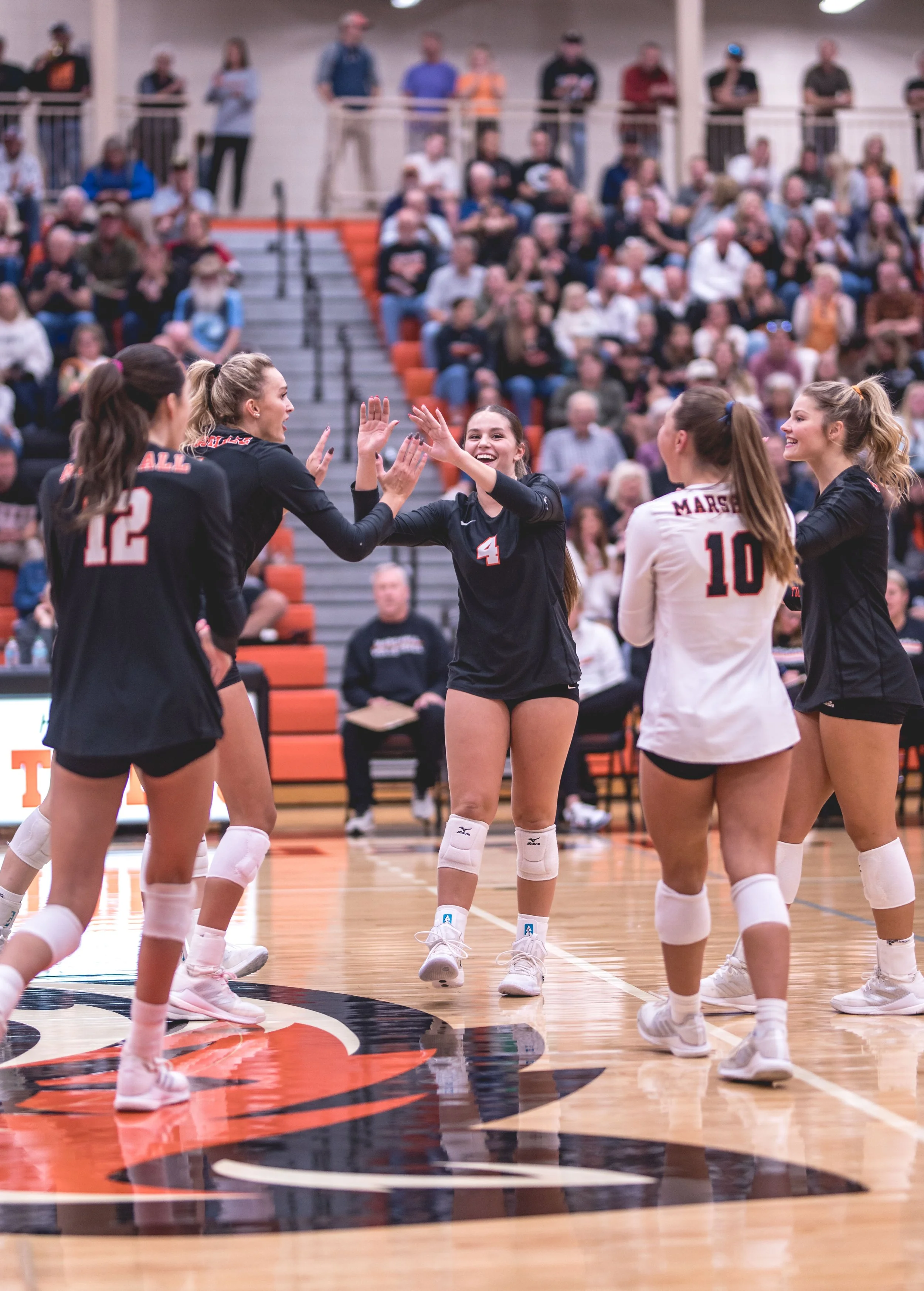 Tigers vs Alex (108).JPG