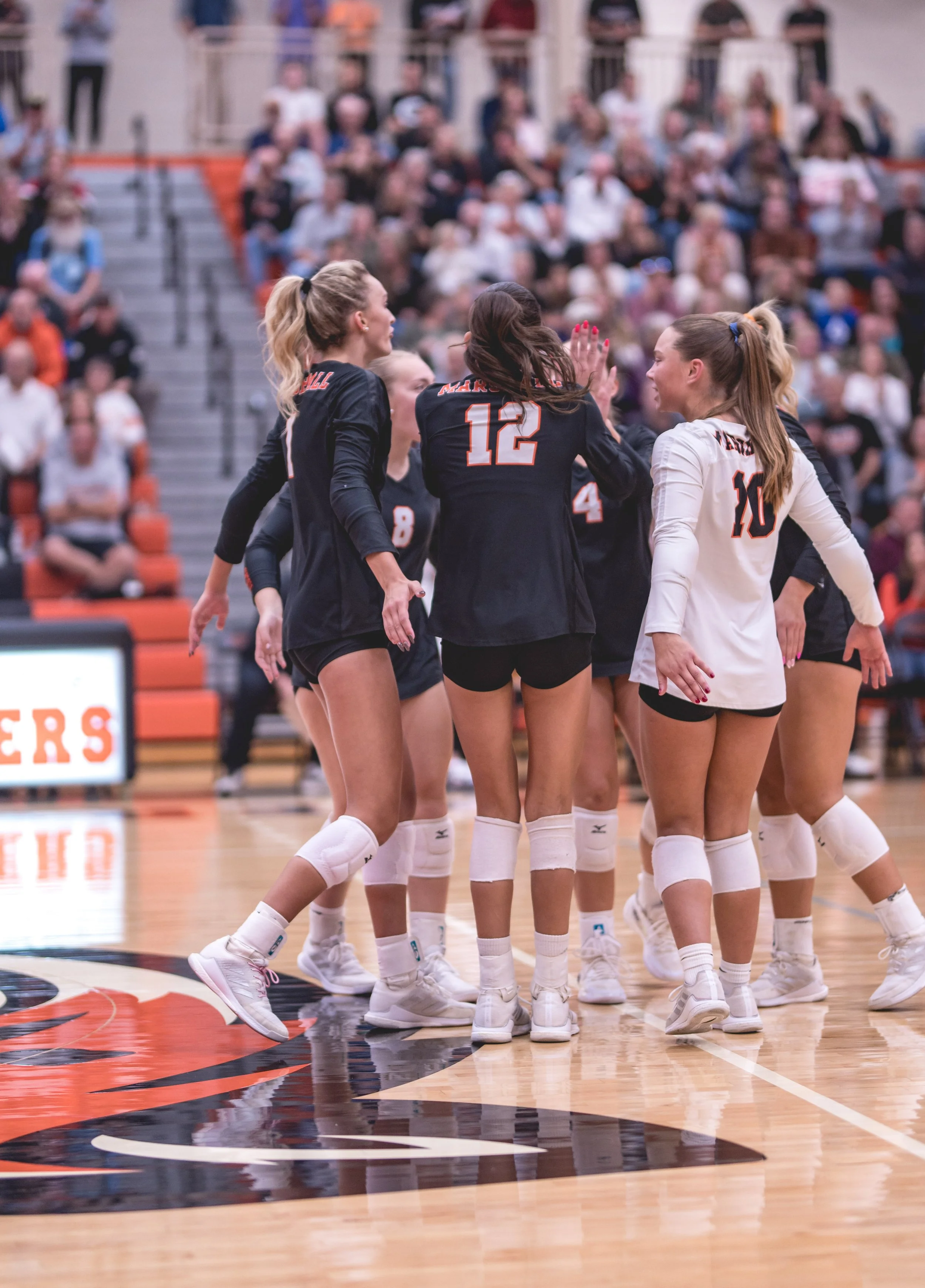 Tigers vs Alex (117).JPG