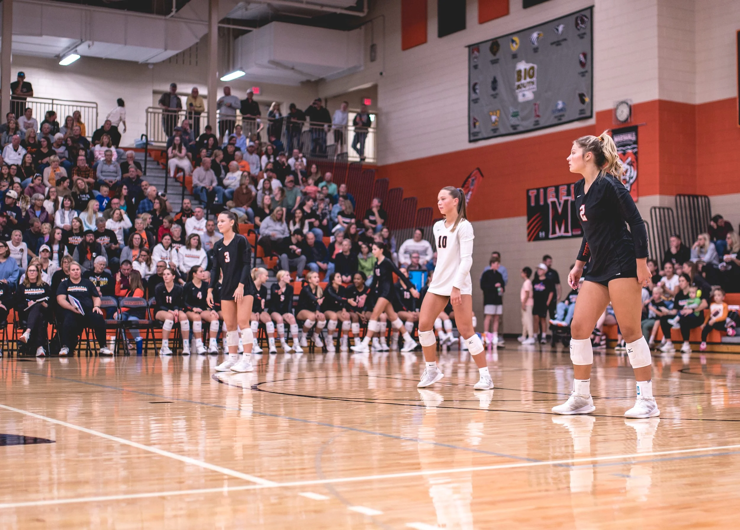 Tigers vs Alex (123).JPG