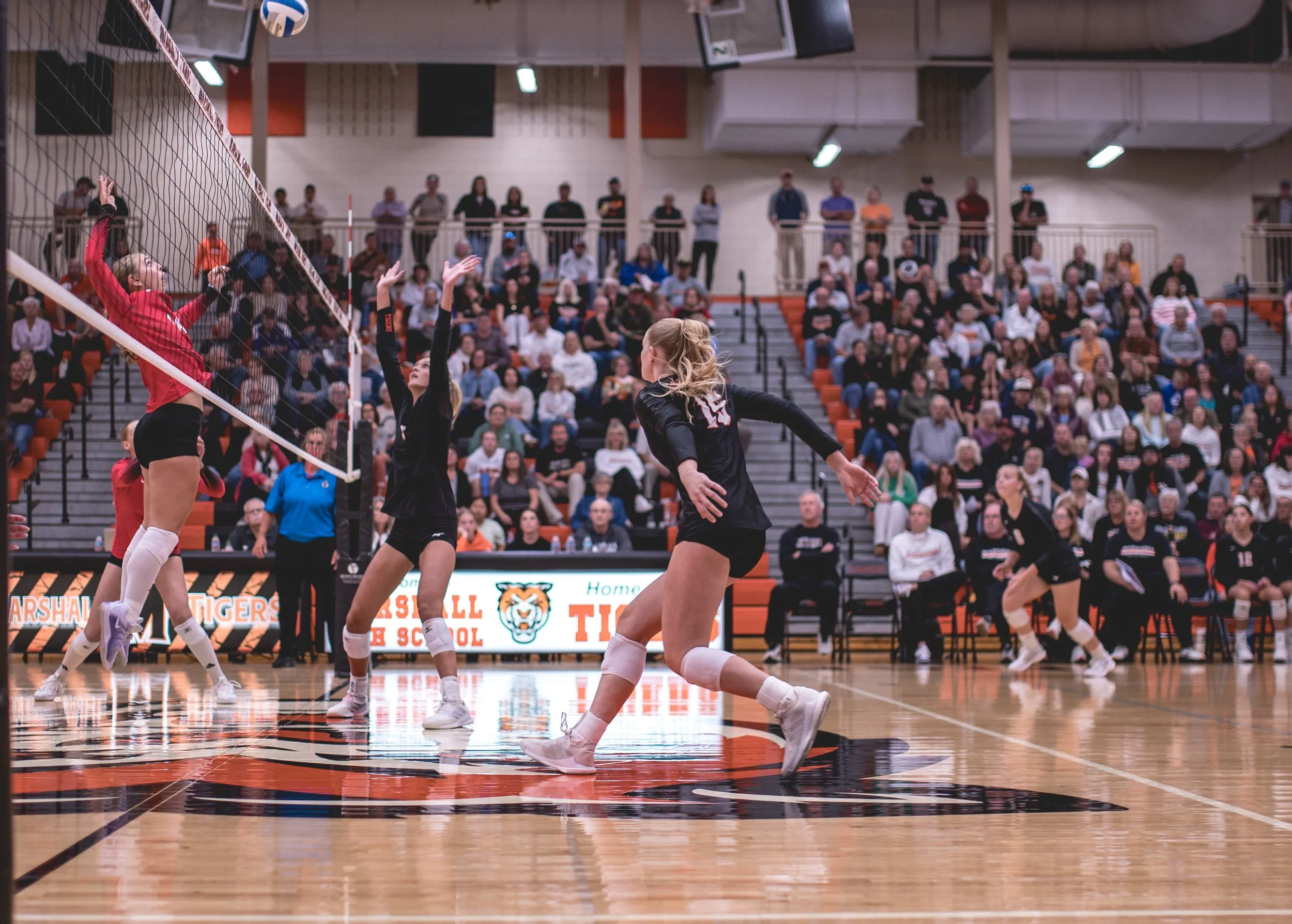 Tigers vs Alex (127).JPG