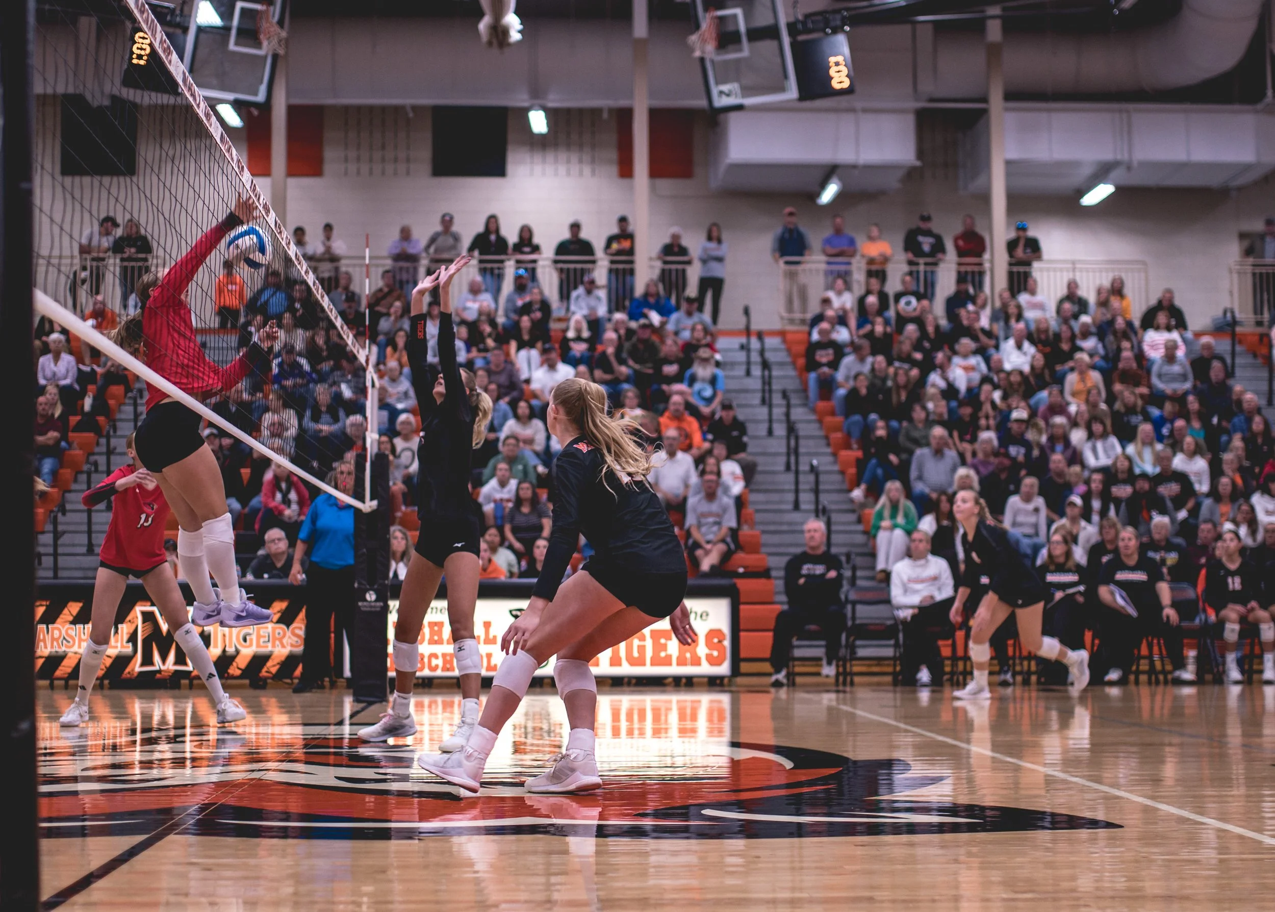 Tigers vs Alex (128).JPG