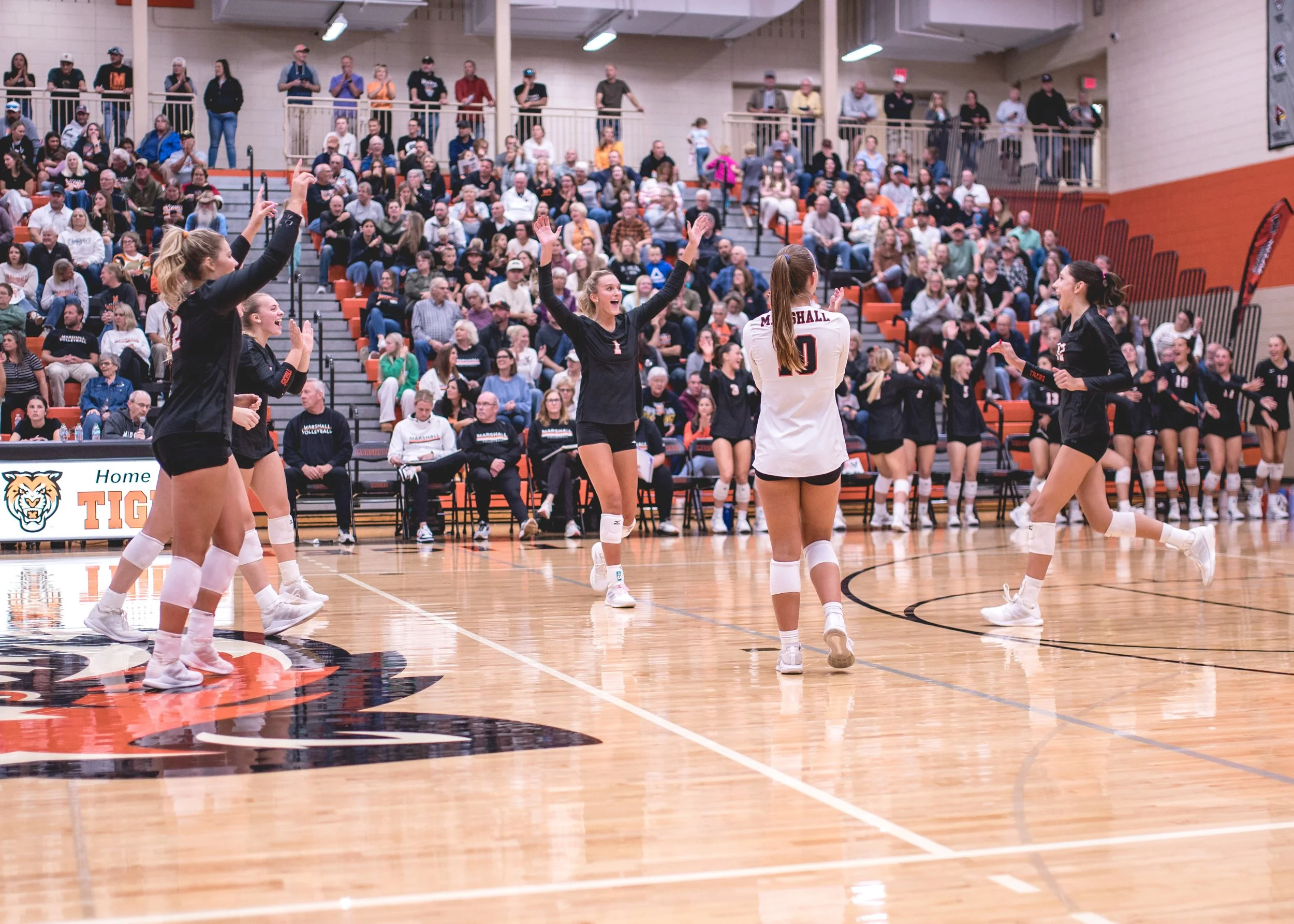 Tigers vs Alex (146).JPG