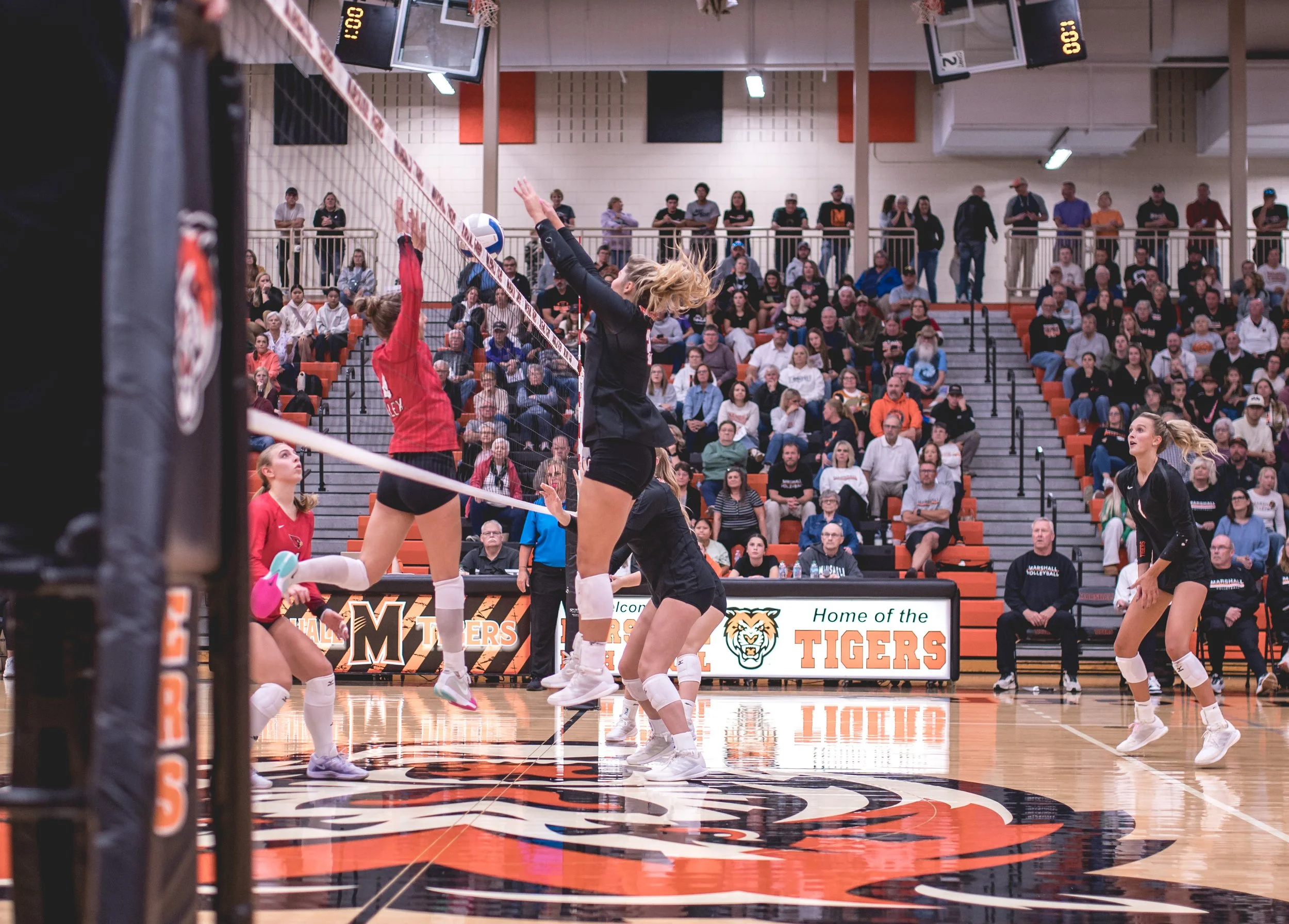 Tigers vs Alex (149).JPG