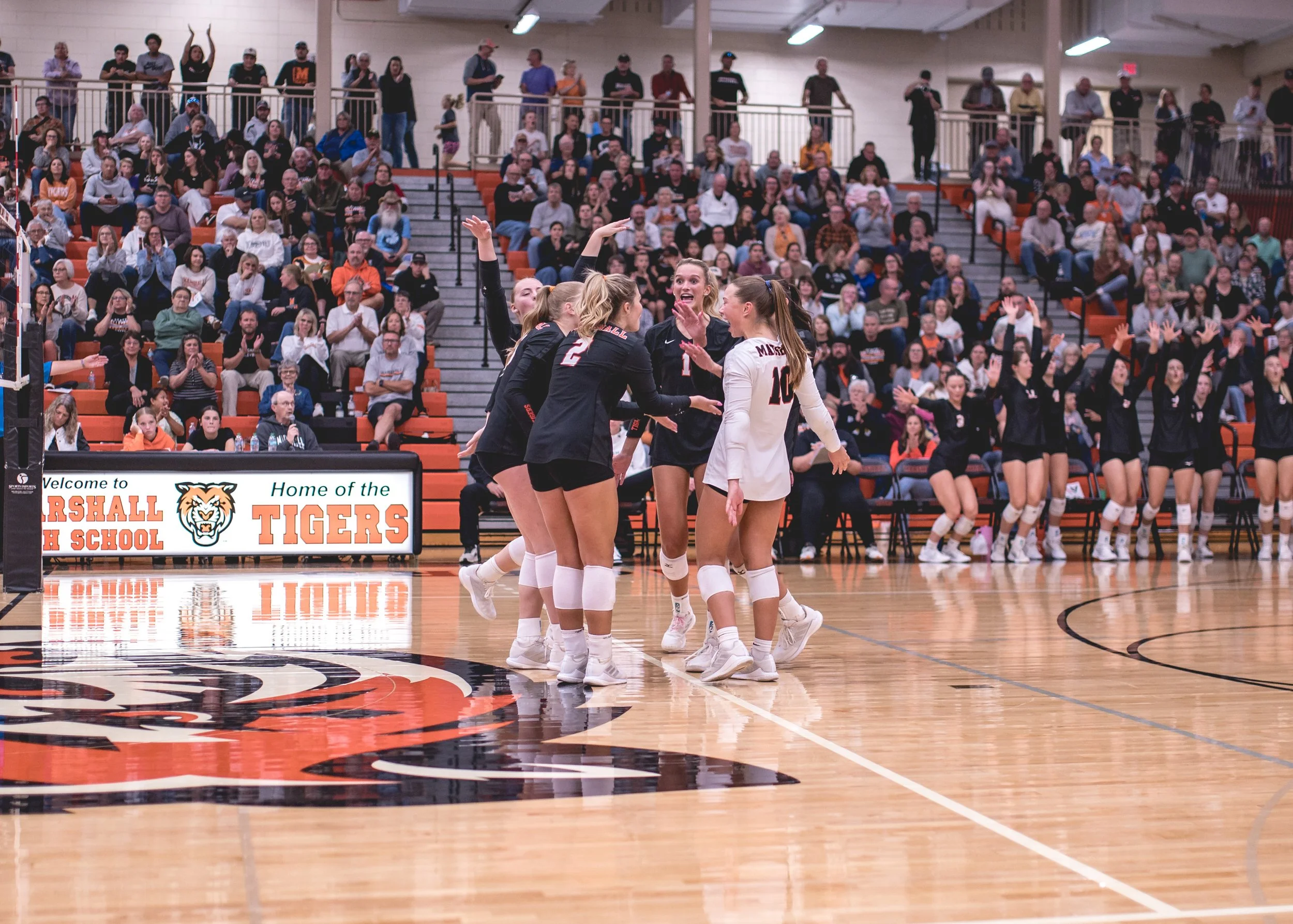 Tigers vs Alex (151).JPG