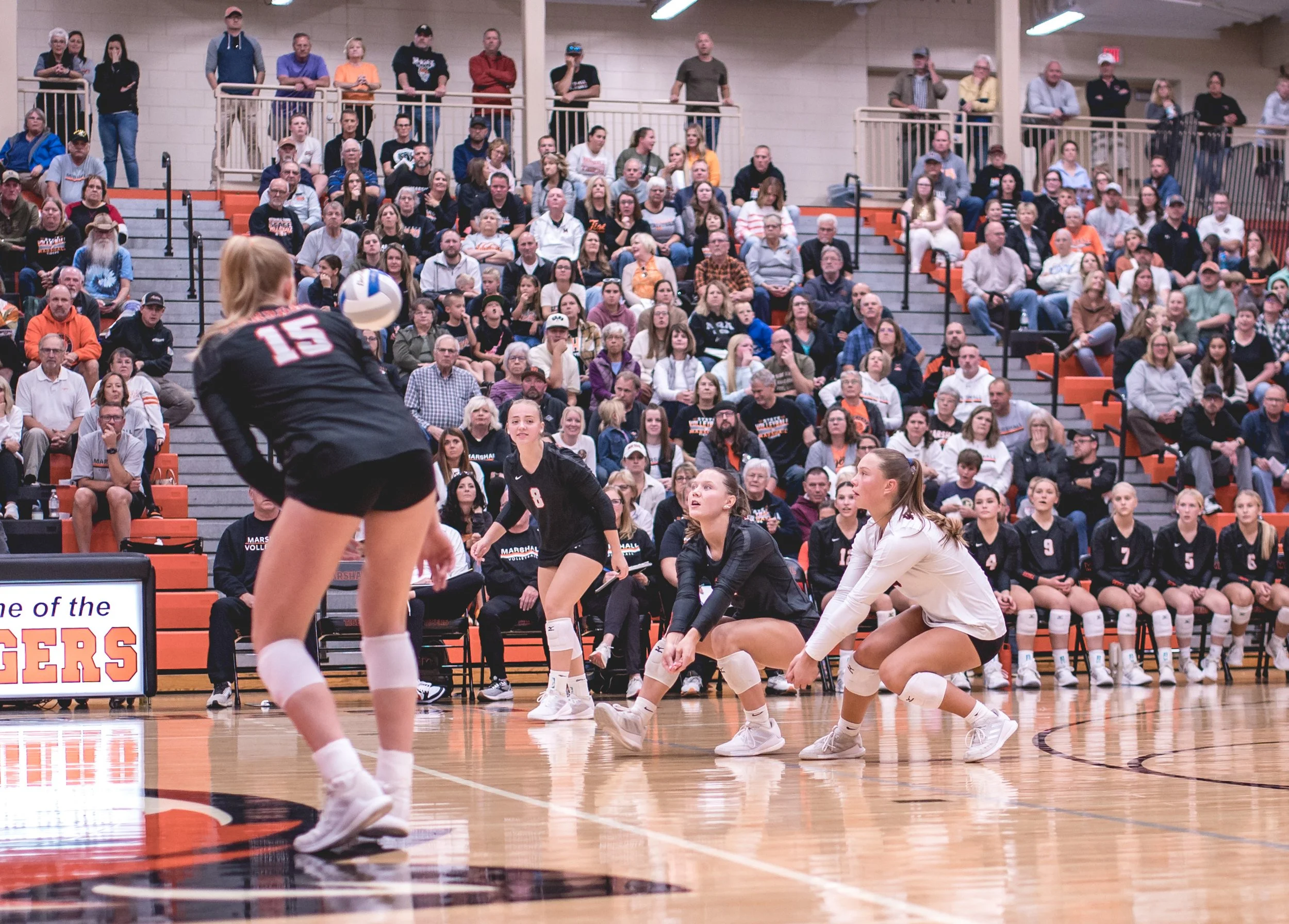 Tigers vs Alex (160).JPG