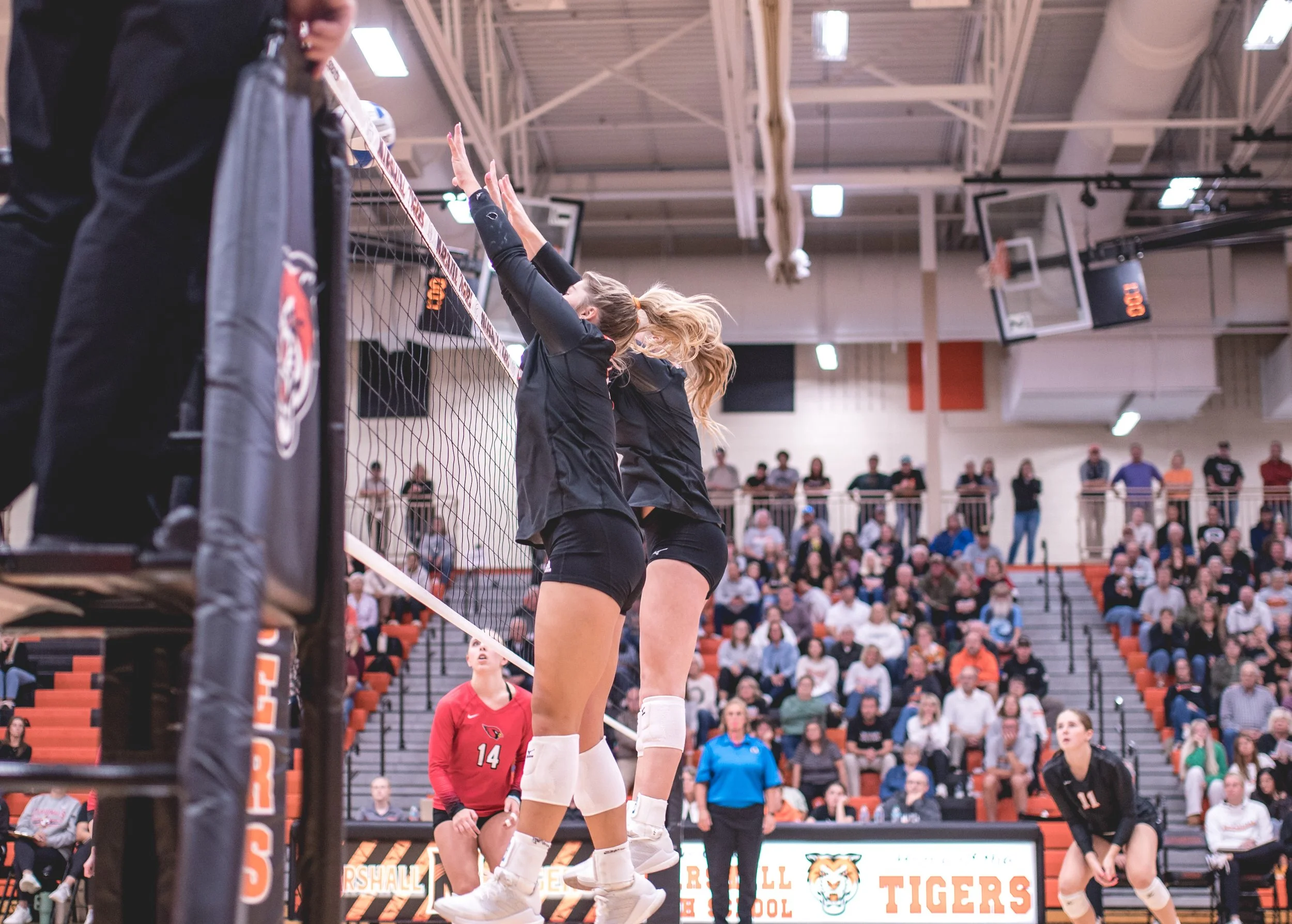 Tigers vs Alex (170).JPG