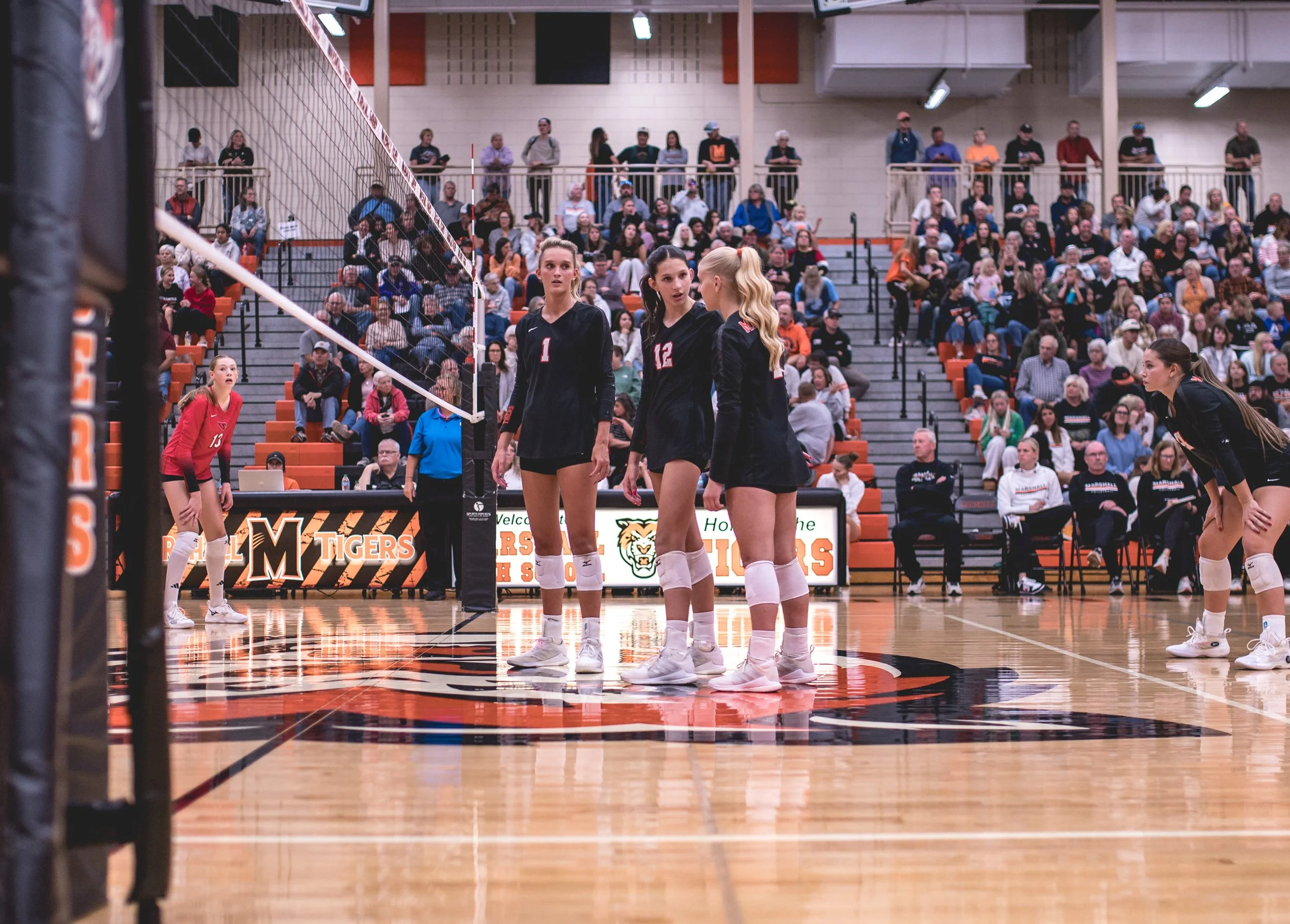 Tigers vs Alex (174).JPG