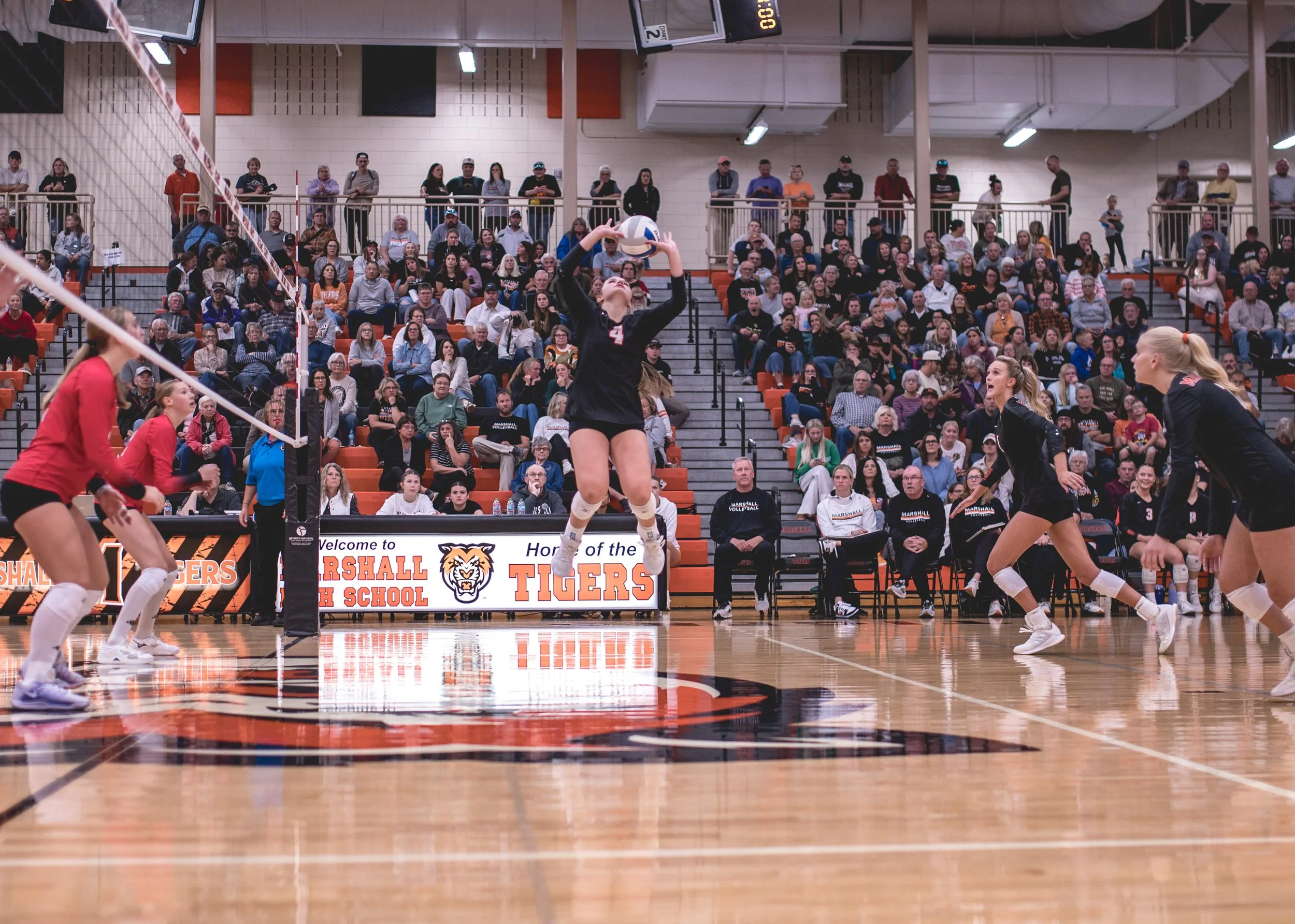 Tigers vs Alex (177).JPG