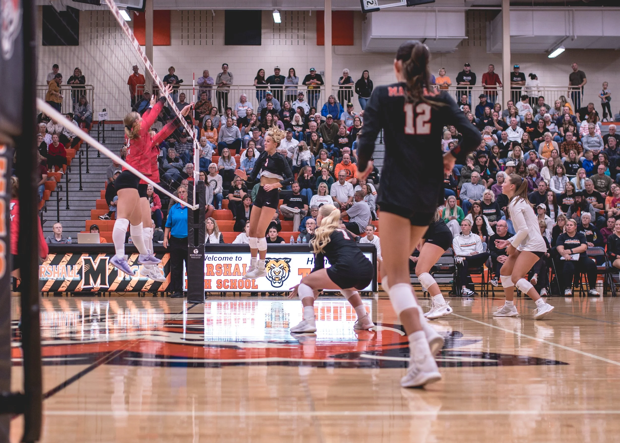 Tigers vs Alex (179).JPG