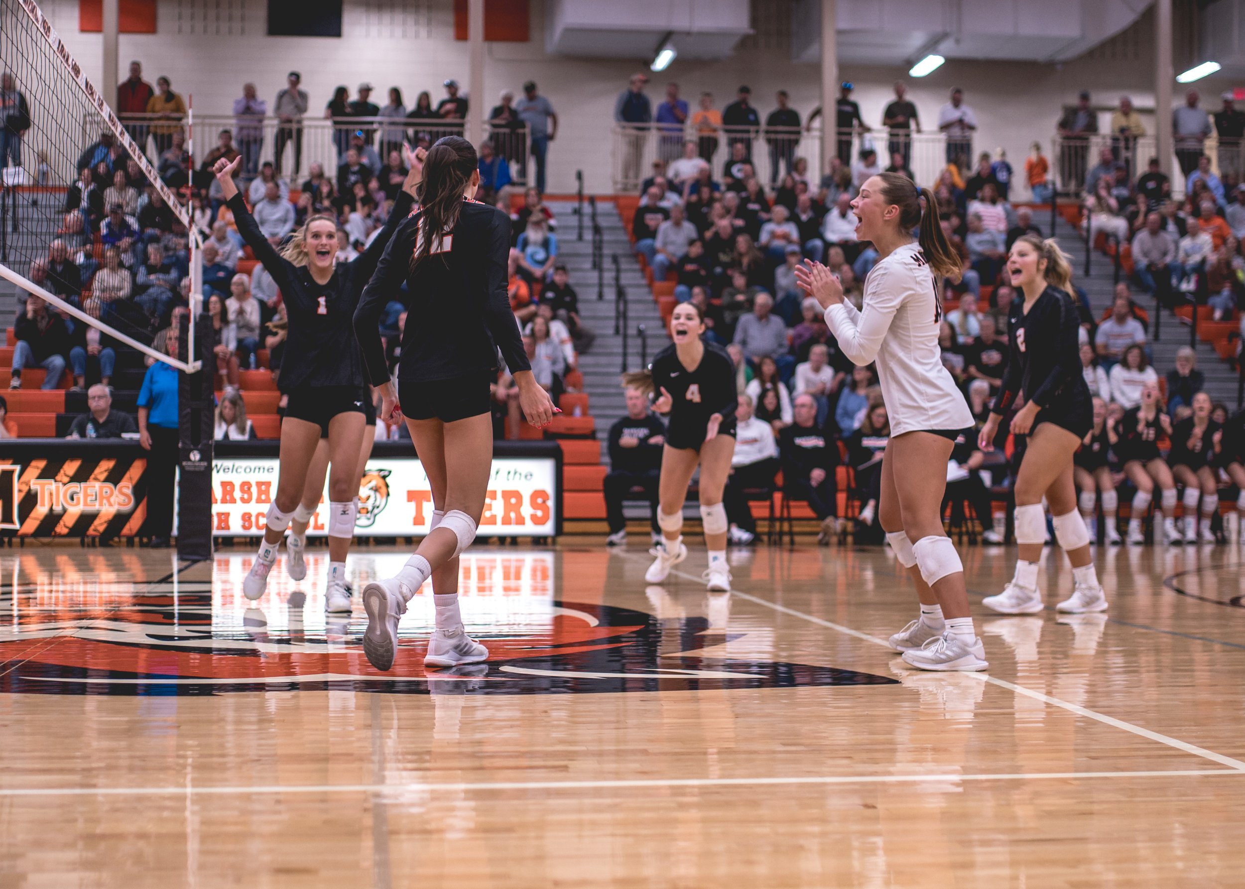 Tigers vs Alex (195).JPG