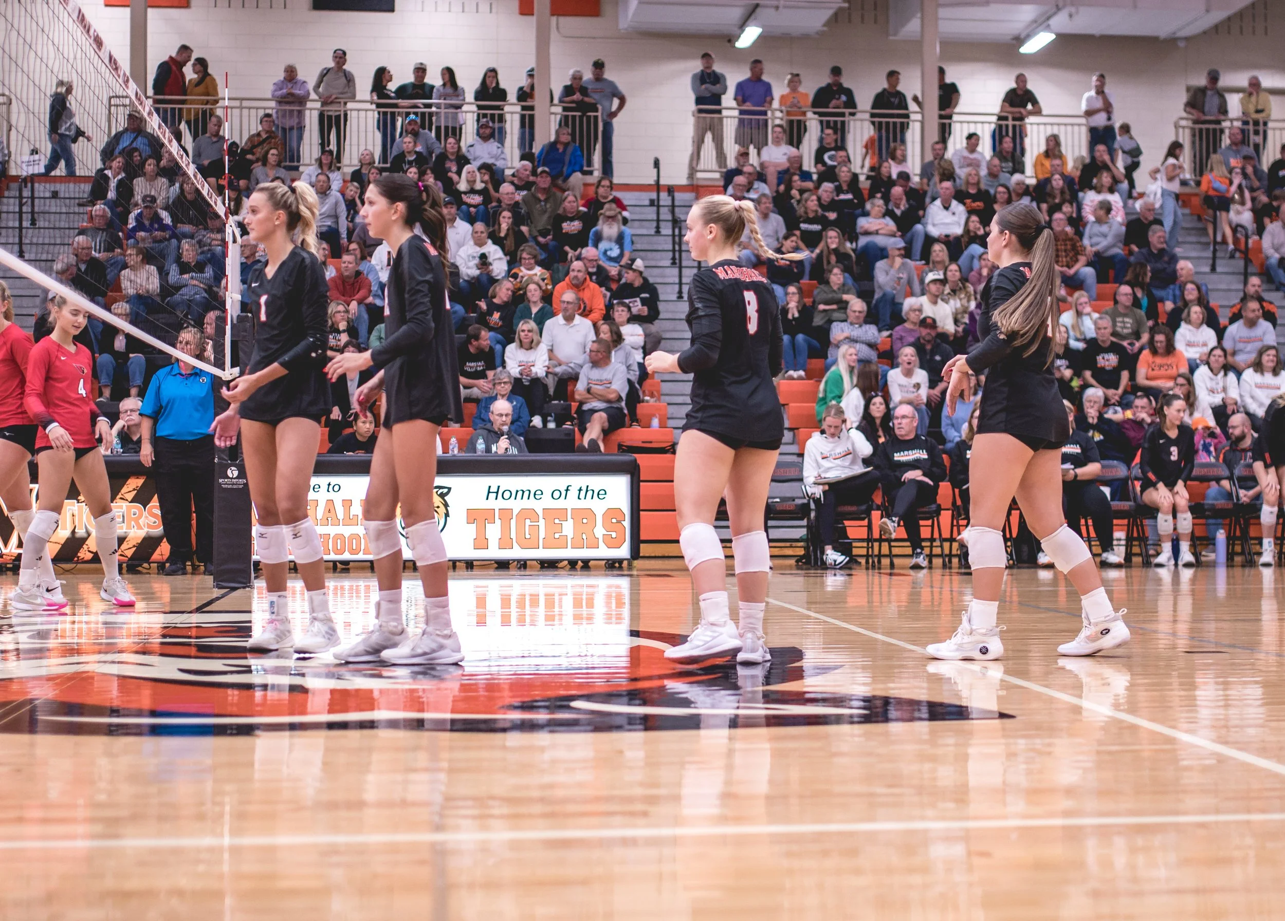 Tigers vs Alex (202).JPG