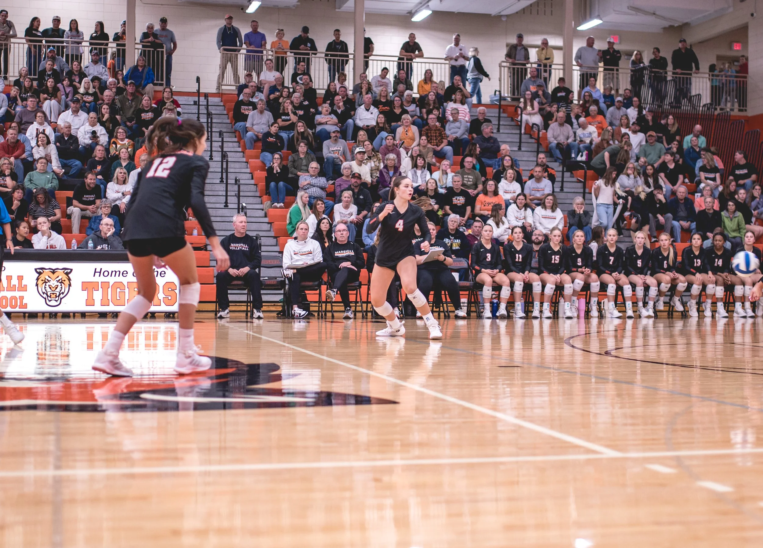 Tigers vs Alex (203).JPG