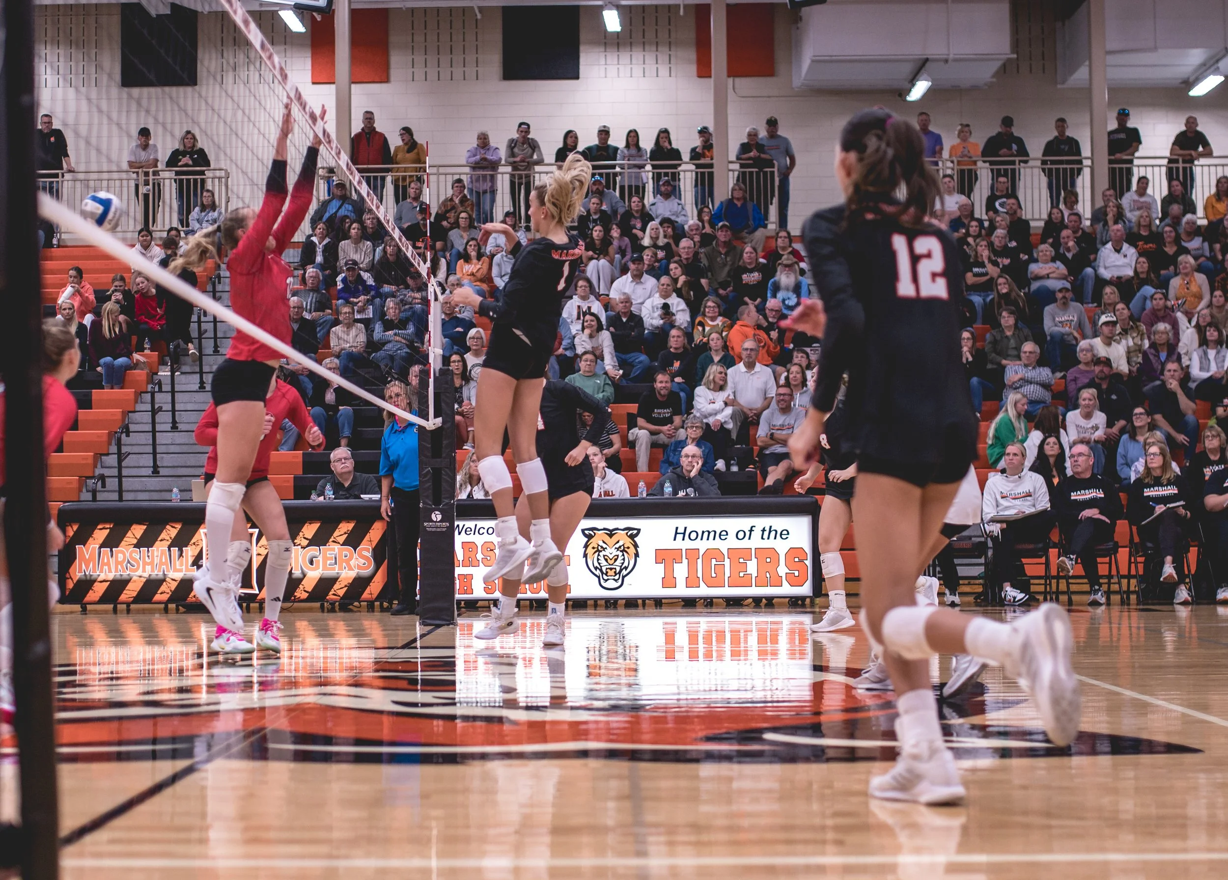 Tigers vs Alex (206).JPG