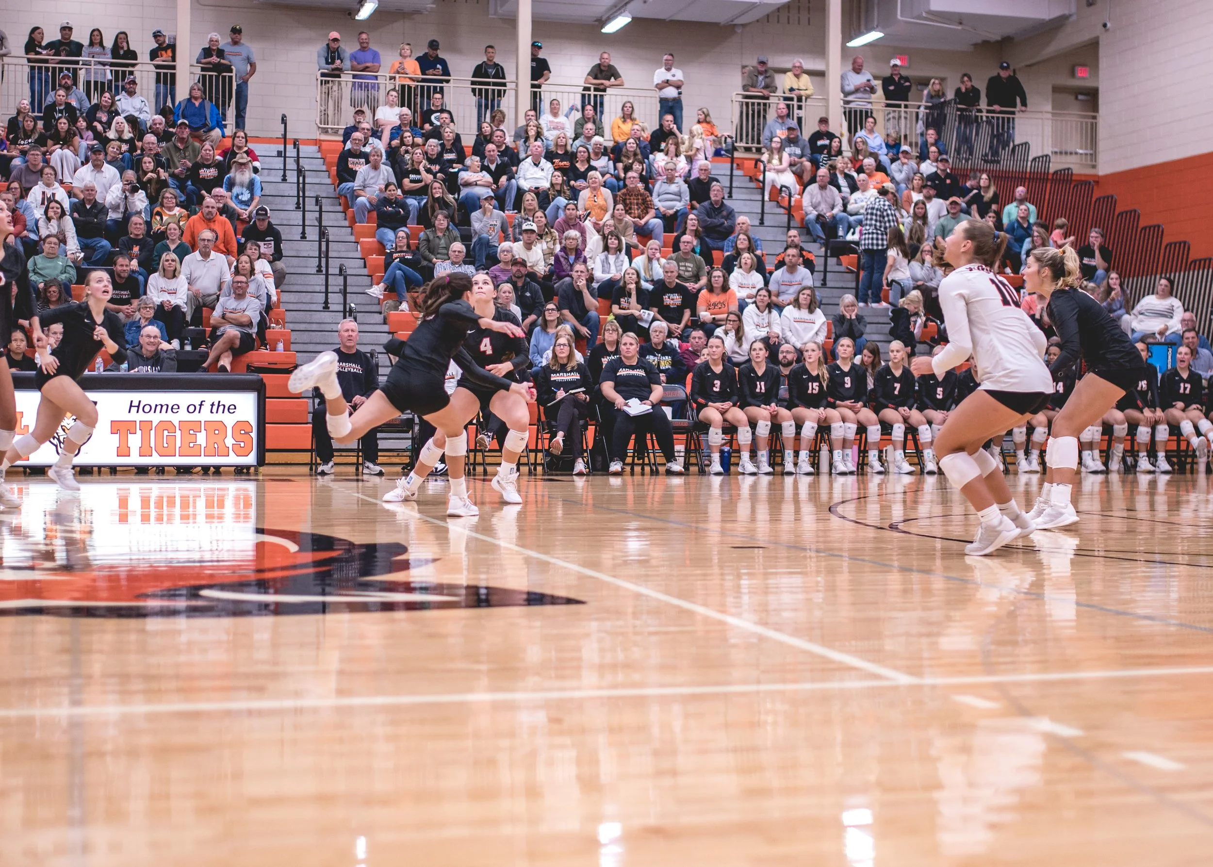 Tigers vs Alex (208).JPG