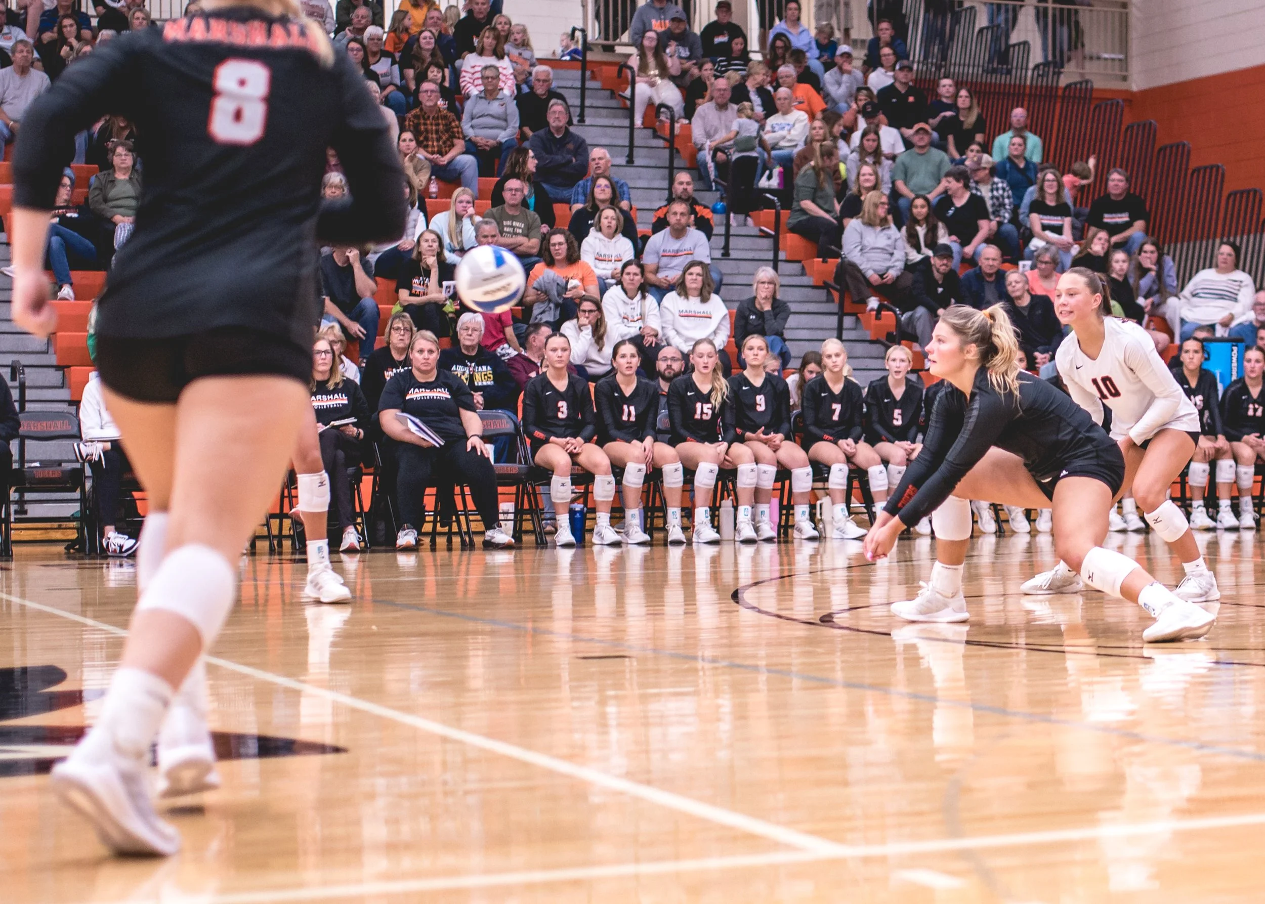 Tigers vs Alex (211).JPG