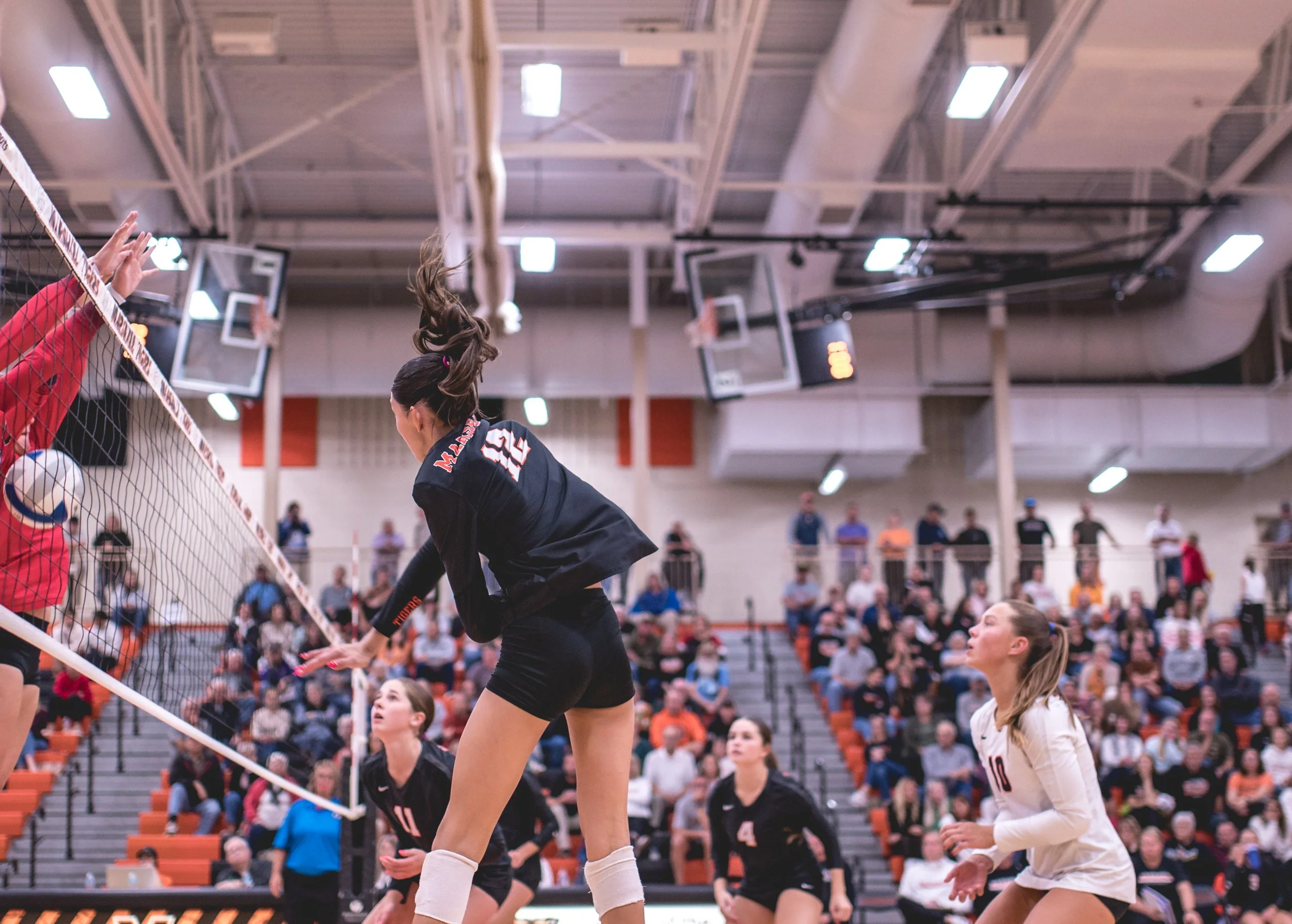 Tigers vs Alex (216).JPG