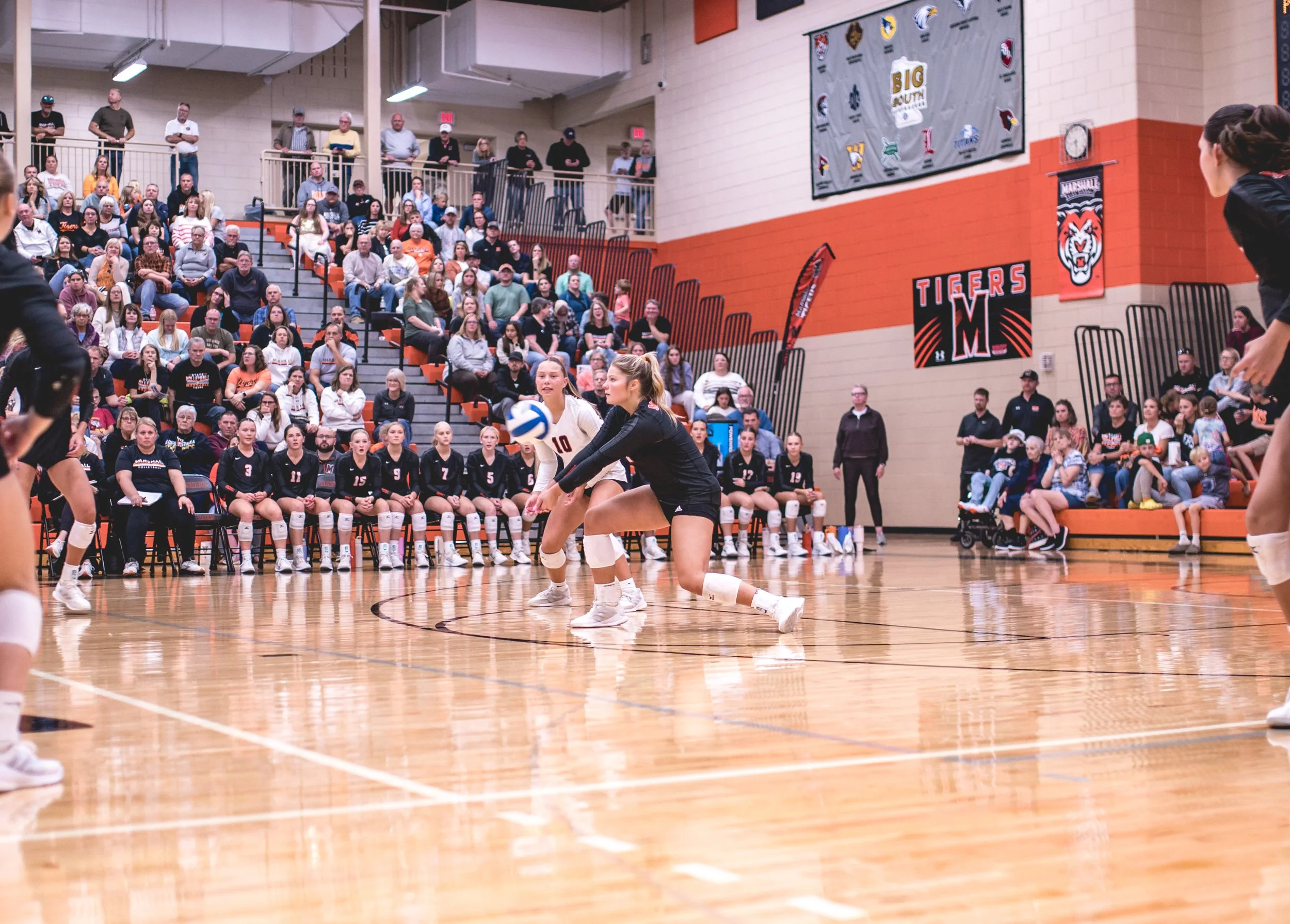 Tigers vs Alex (219).JPG